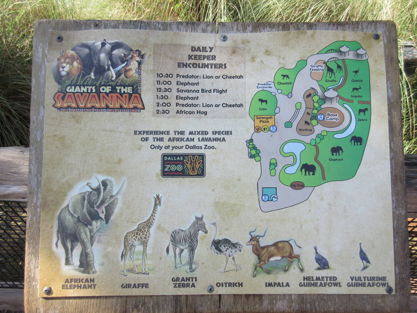 Giants of the Savanna - Map
