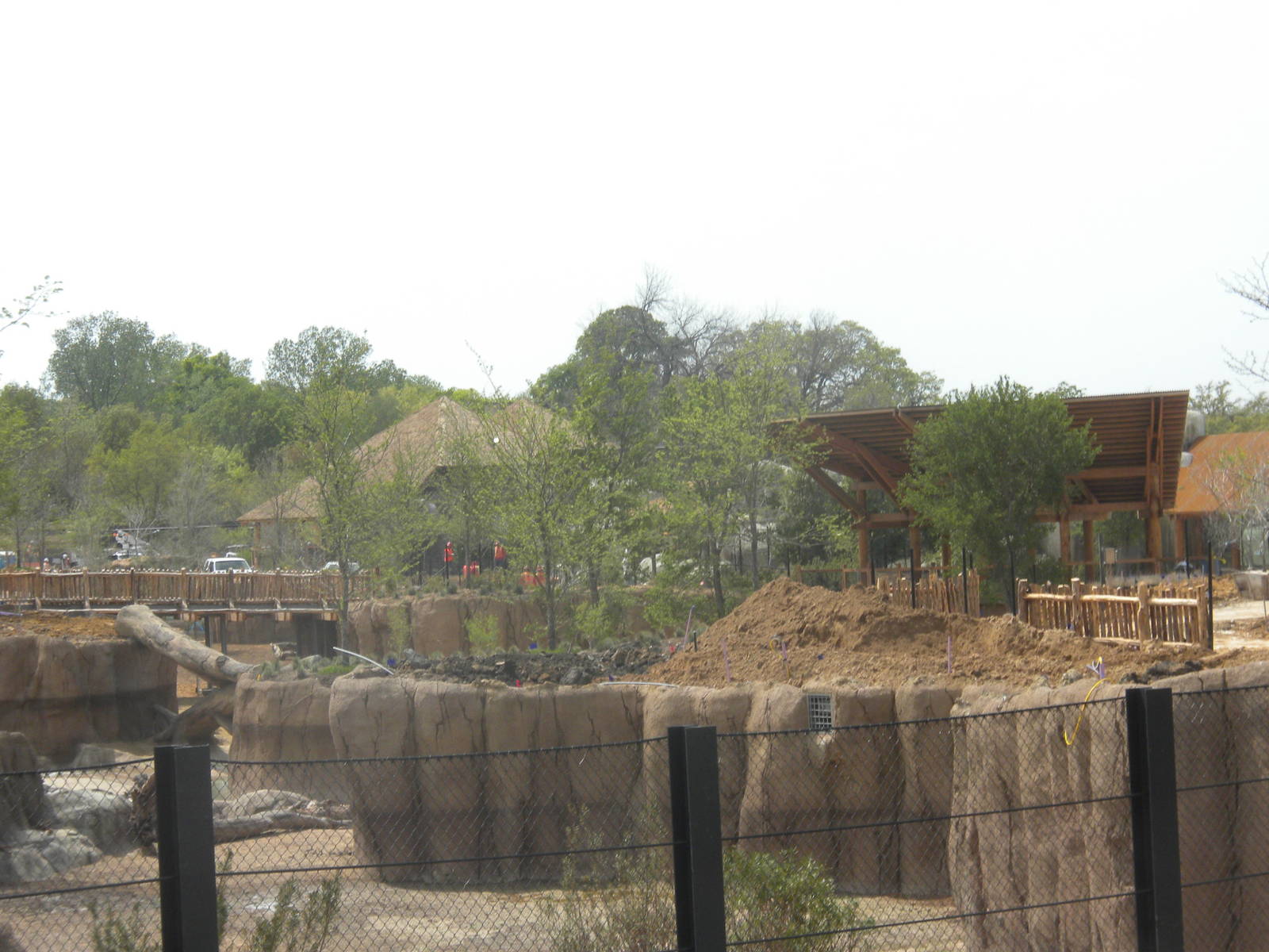 Giants of the Savanna - North Habitat and Giraffe Feeding