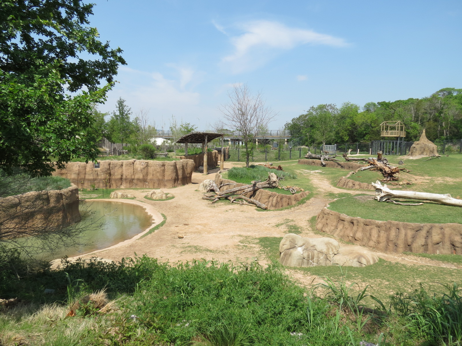 Giants of the Savanna - North Habitat (Mixed Species)