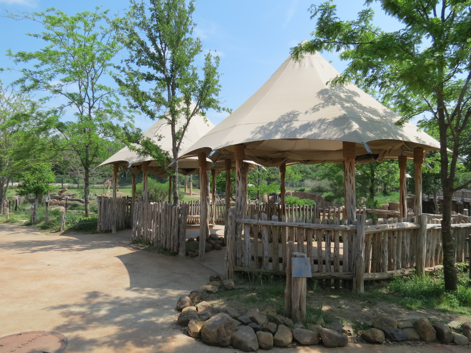 Giants of the Savanna - North Habitat (Mixed Species)