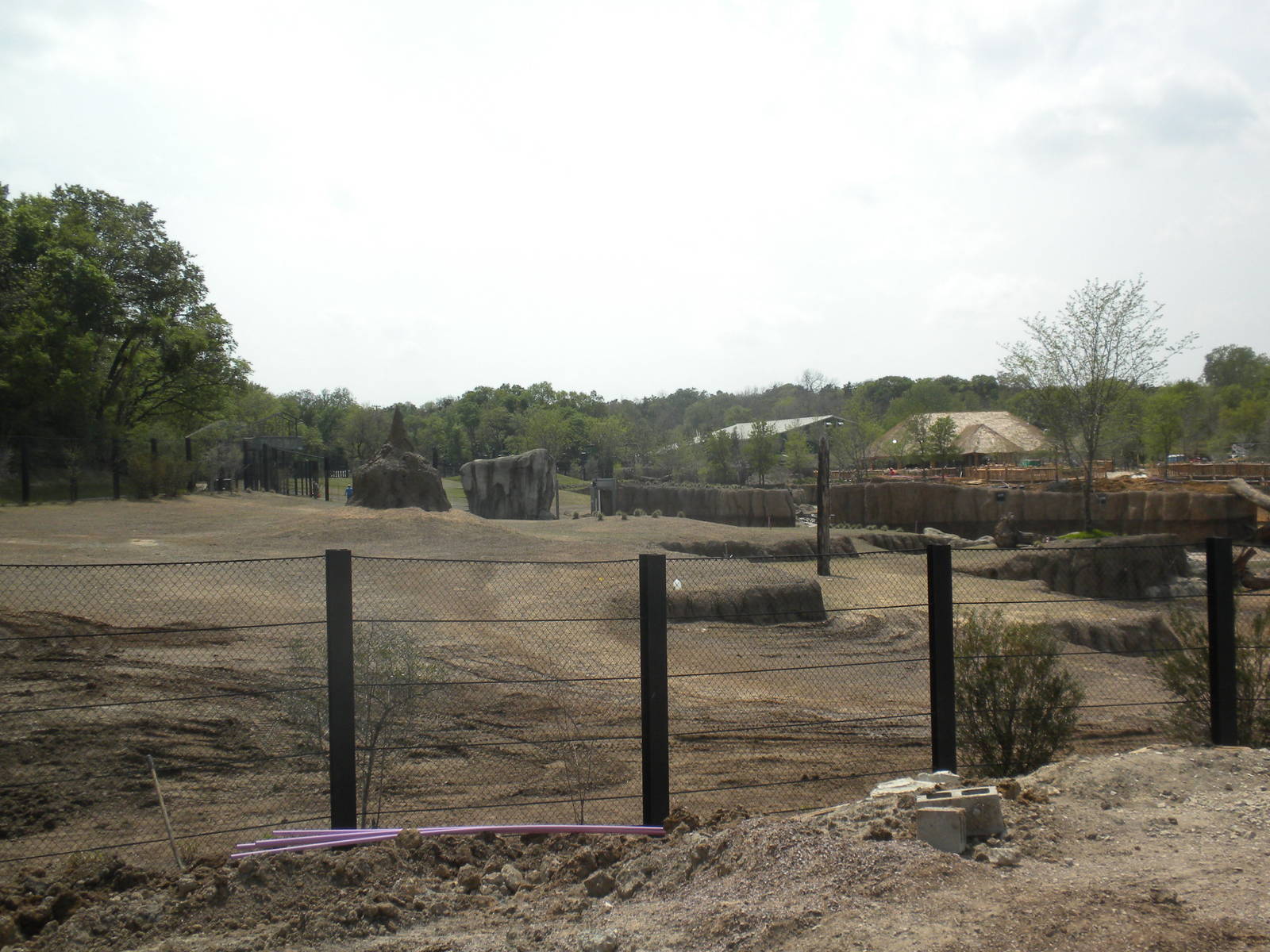 Giants of the Savanna - North Habitat