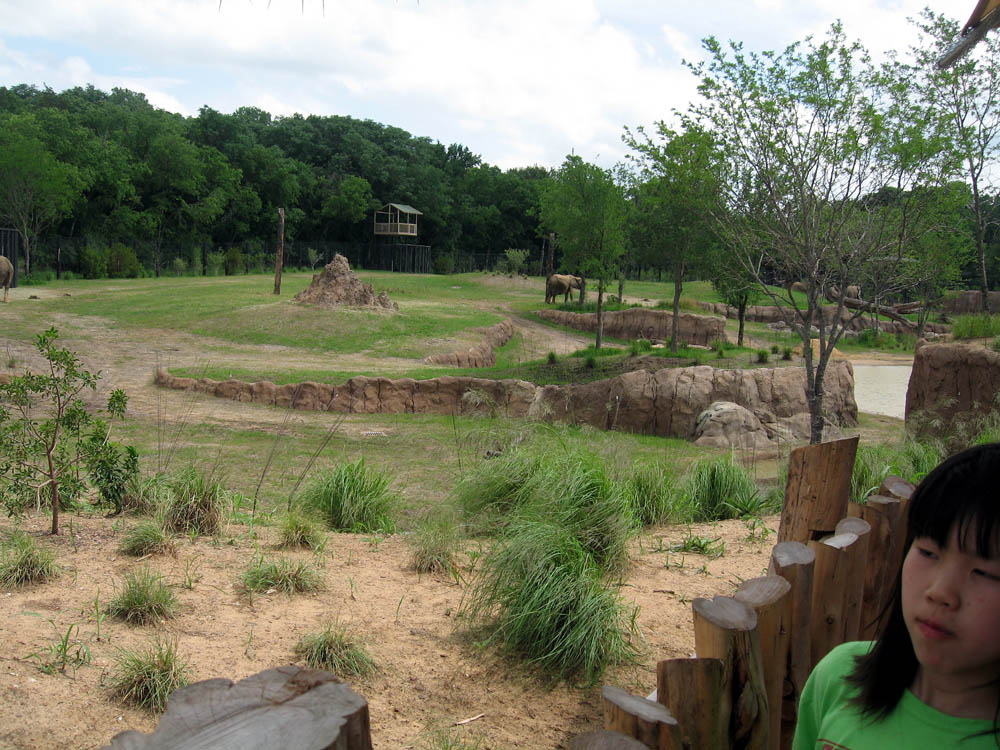 Giants of the Savanna: Part of "South Habitat"