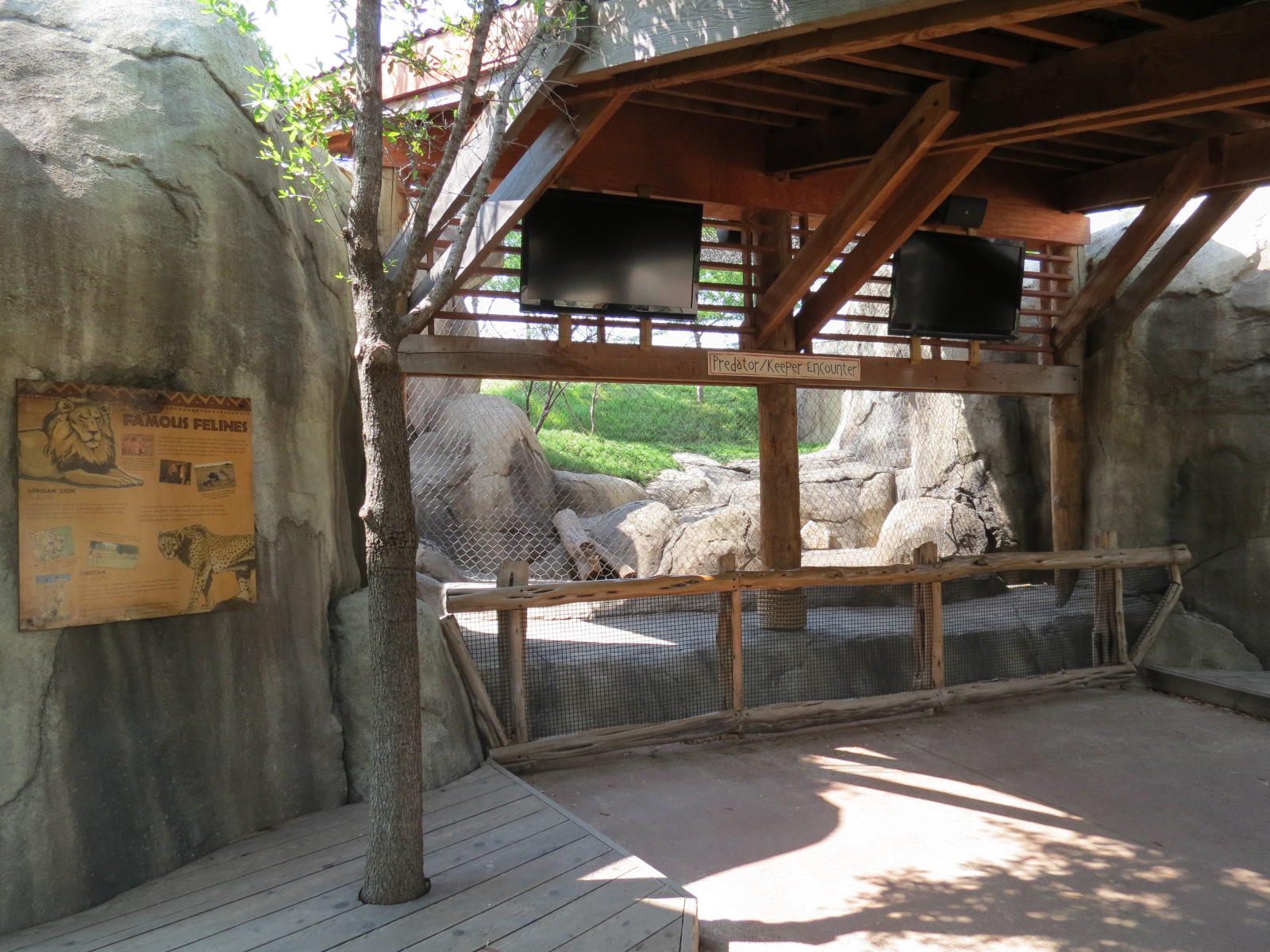 Giants of the Savanna - Predator/Keeper Encounter Exhibit