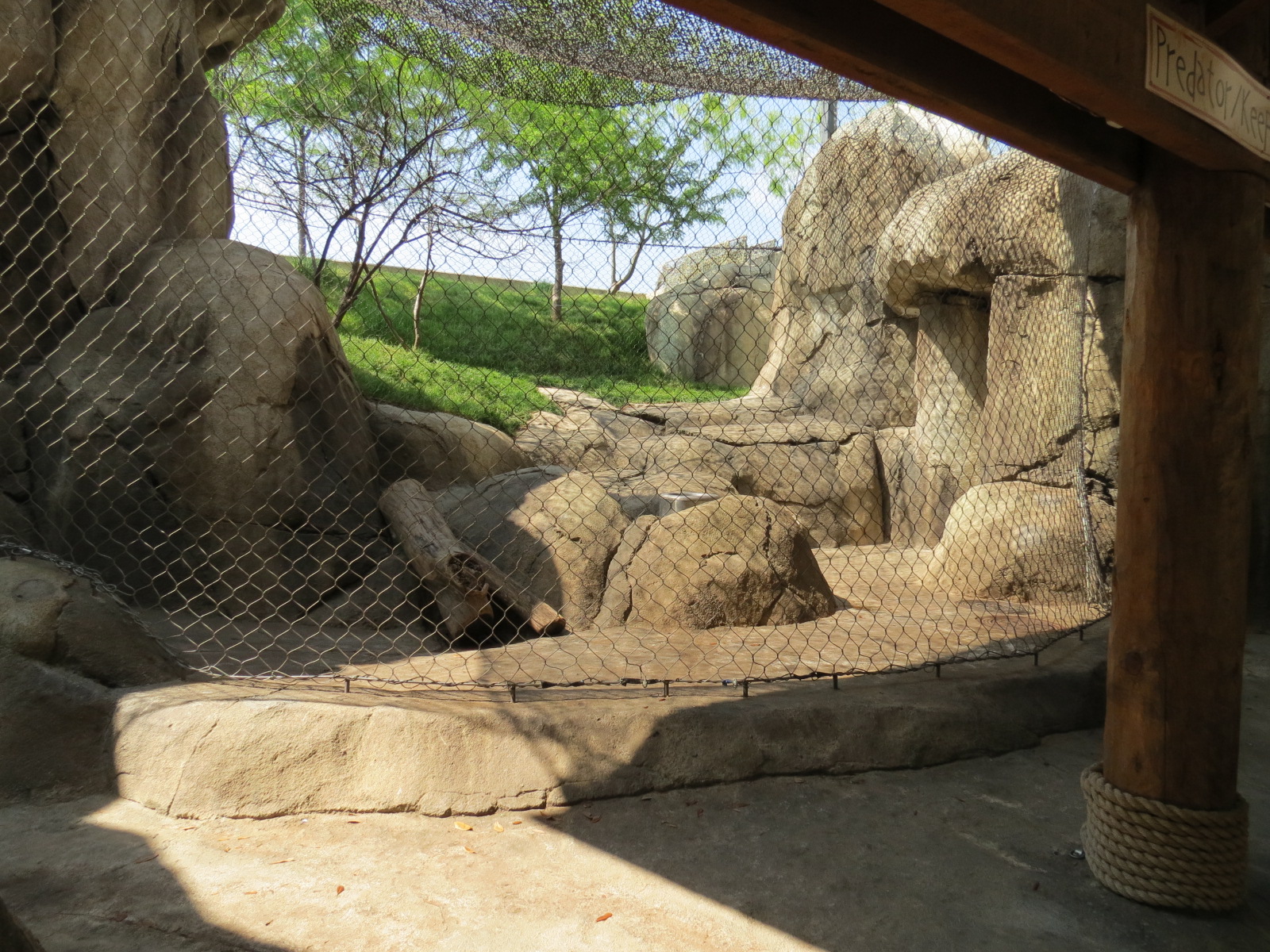 Giants of the Savanna - Predator/Keeper Encounter Exhibit