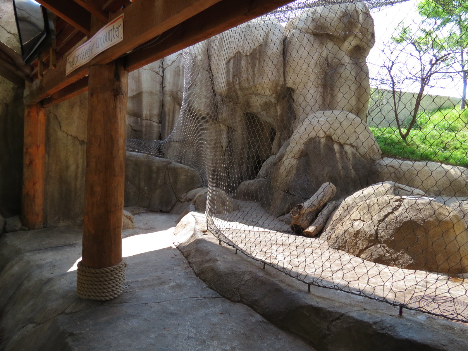 Giants of the Savanna - Predator/Keeper Encounter Exhibit