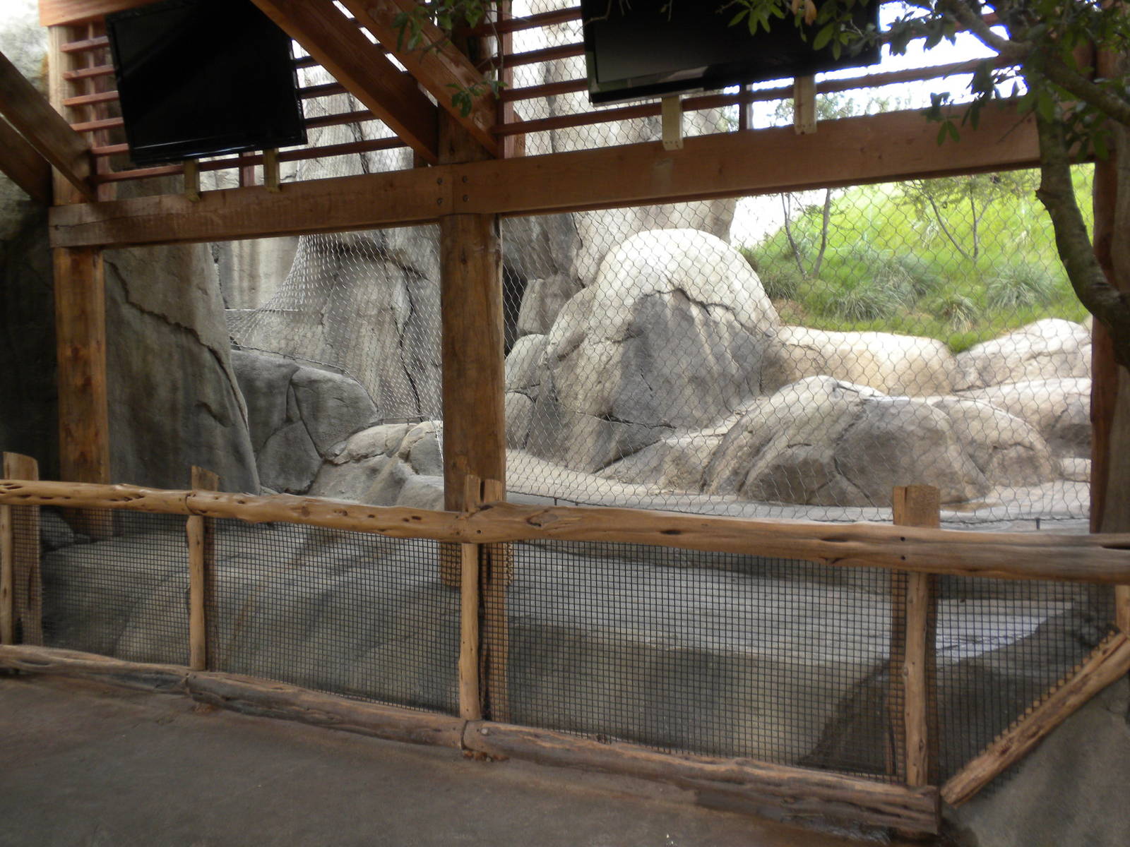 Giants of the Savanna - predator training area