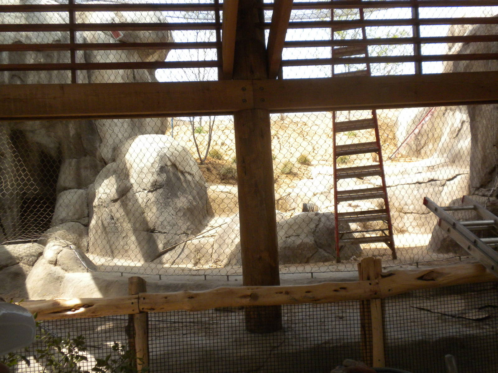 Giants of the Savanna - Predator training area