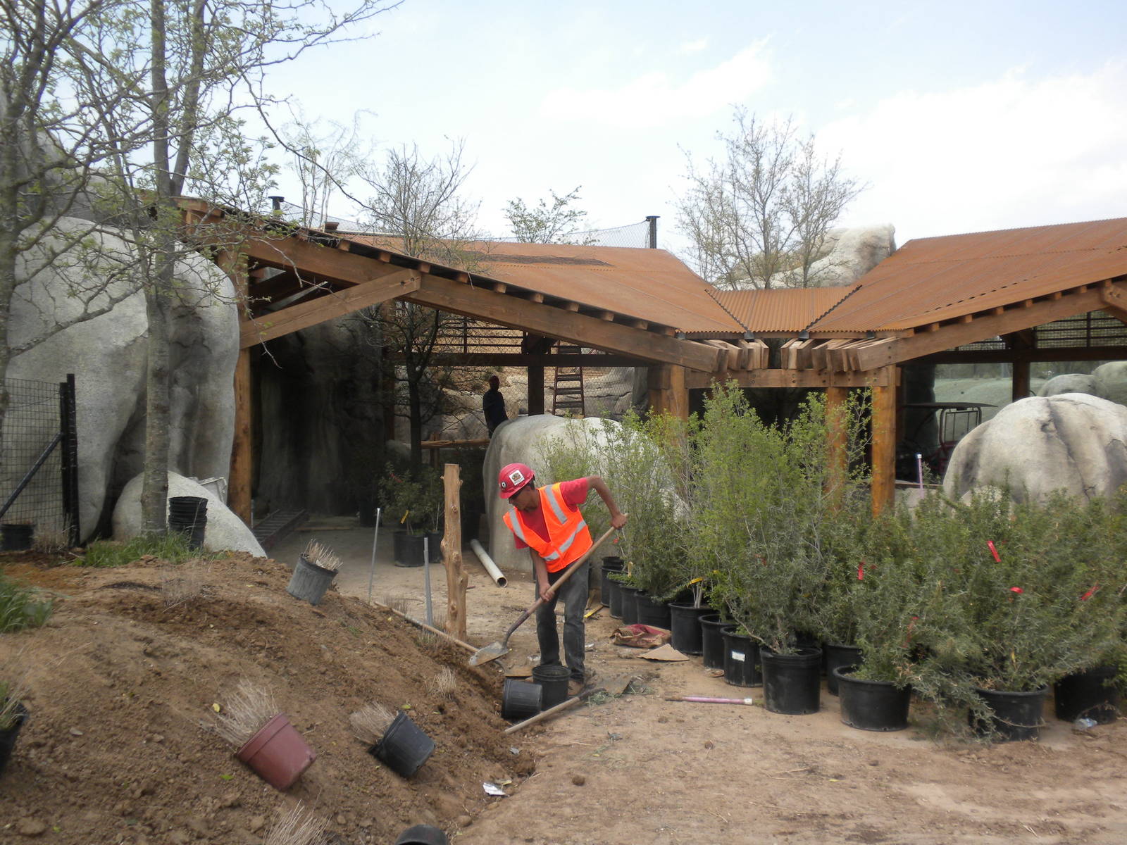 Giants of the Savanna - Predator viewing area