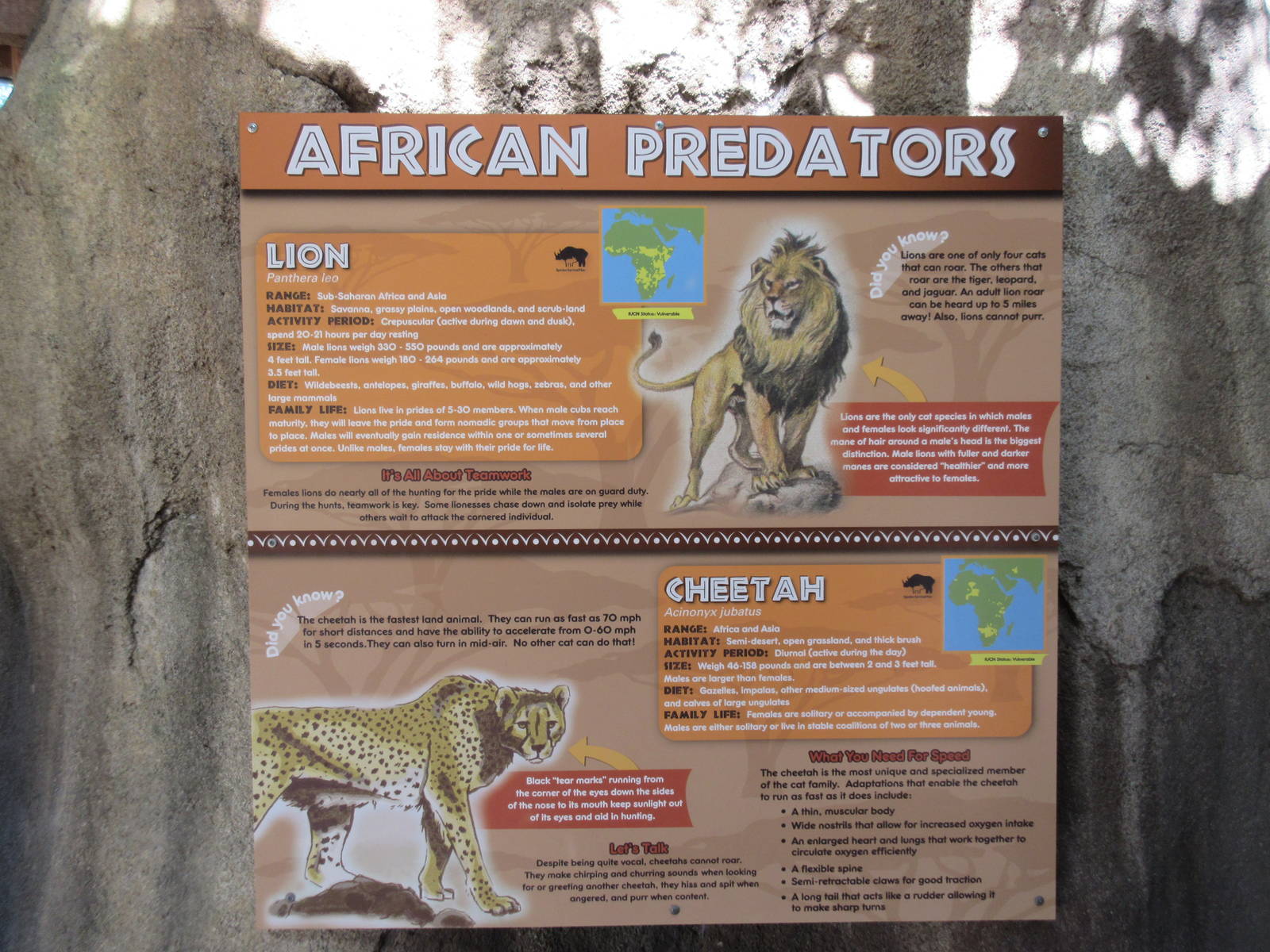 Giants of the Savanna - Predators Sign