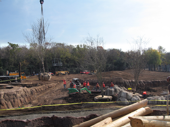 Giants of the Savanna receives first trees