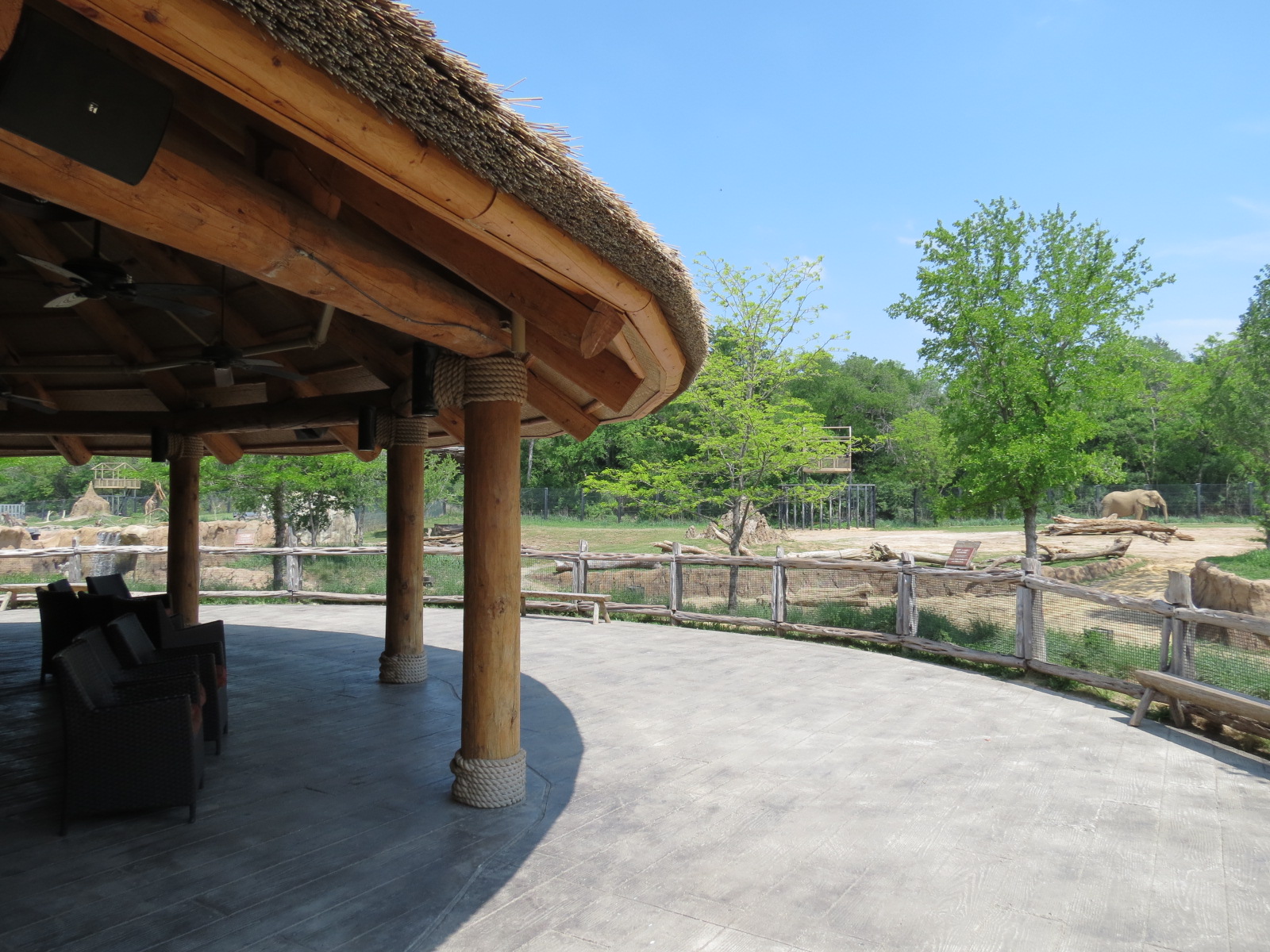 Giants of the Savanna - Safari Base Camp