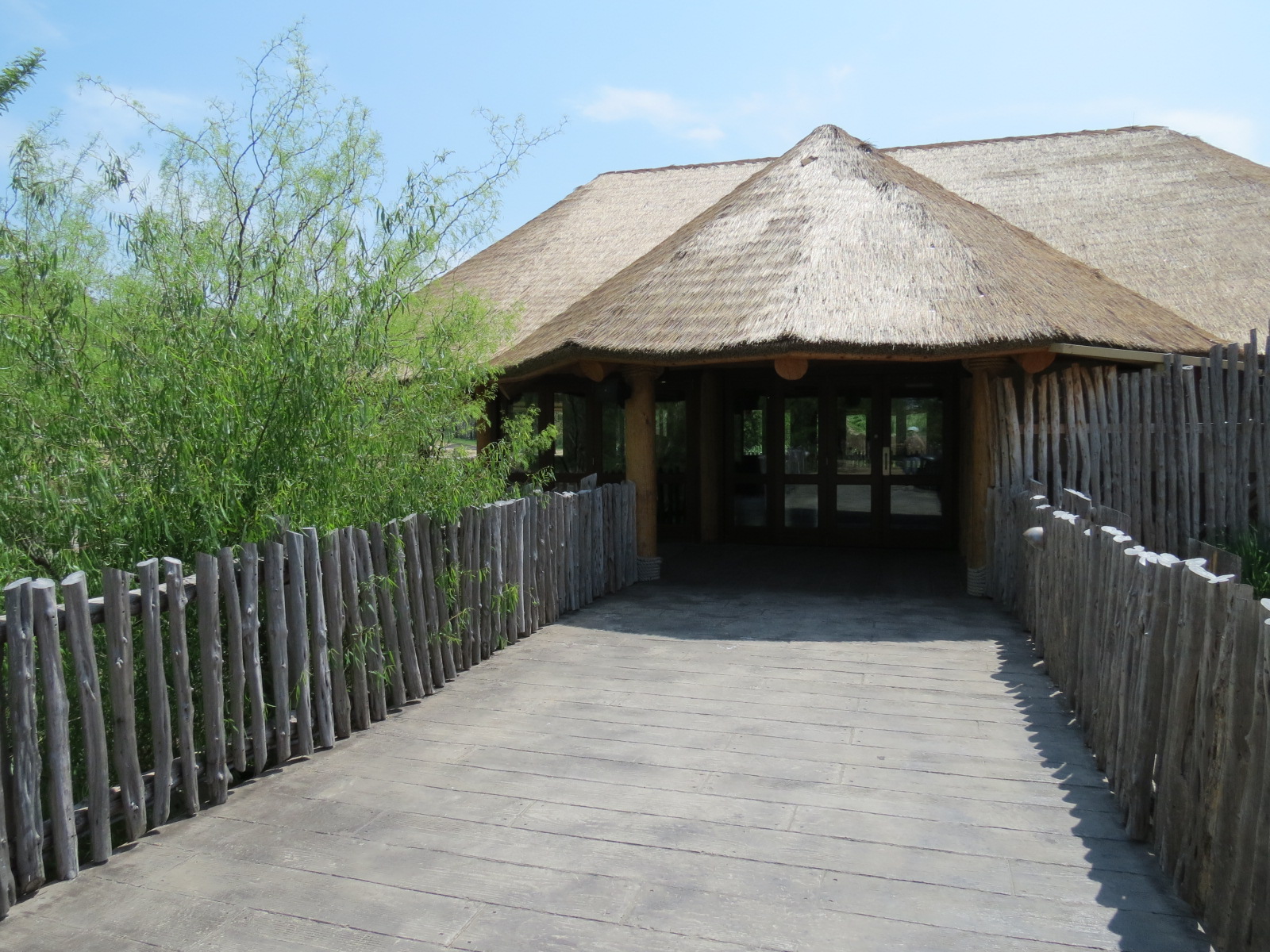 Giants of the Savanna - Safari Base Camp