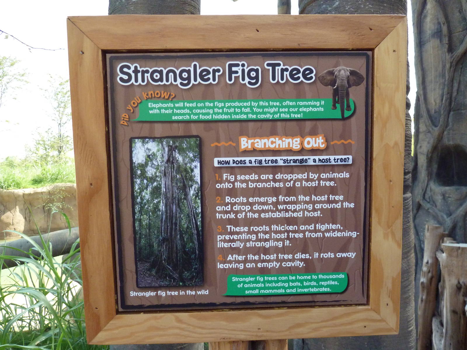 Giants Of The Savanna - Signage