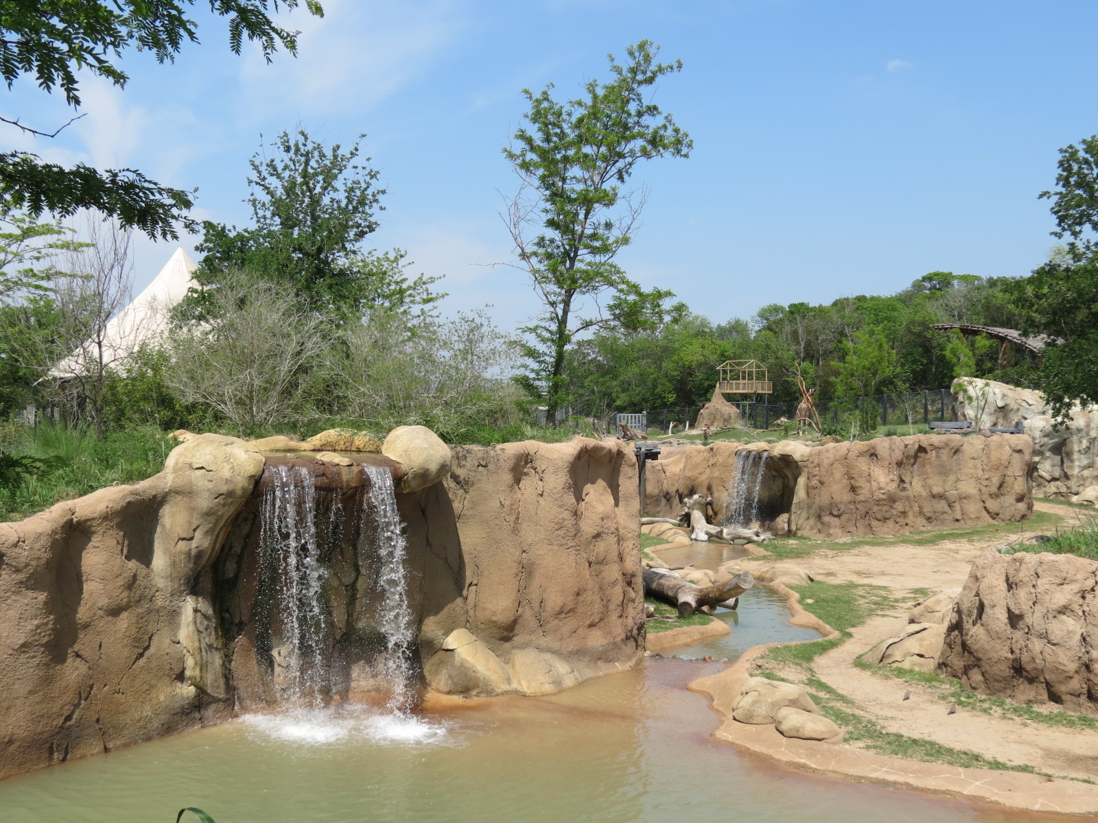 Giants of the Savanna - South Habitat (African Elephant)