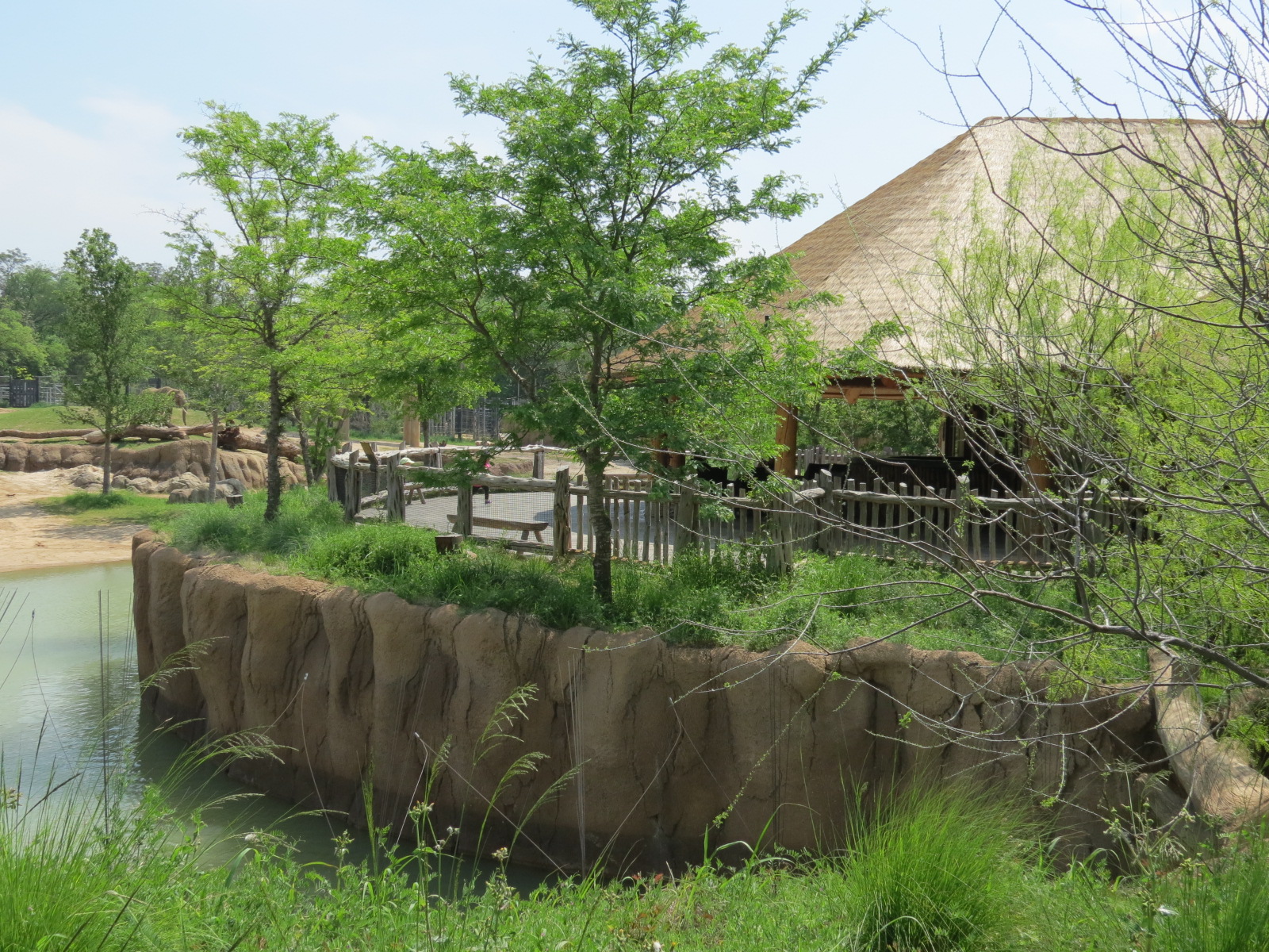 Giants of the Savanna - South Habitat (African Elephant)