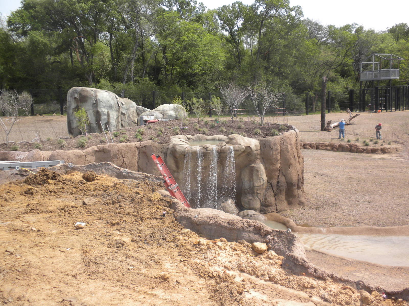 Giants of the Savanna - South Habitat