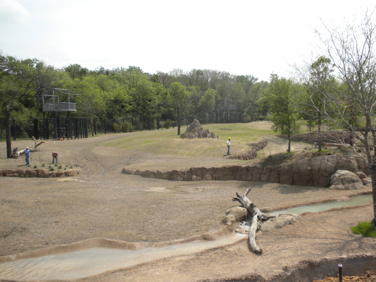 Giants of the Savanna - South Habitat