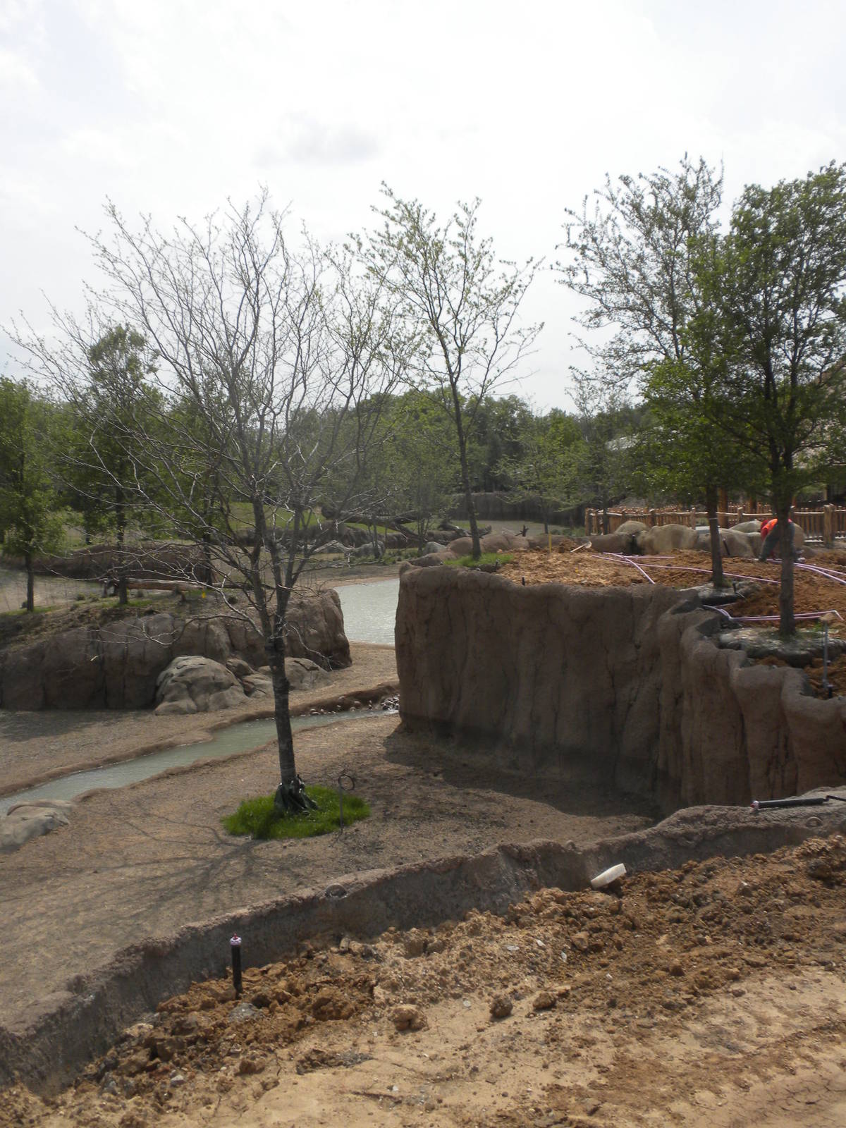 Giants of the Savanna - South Habitat