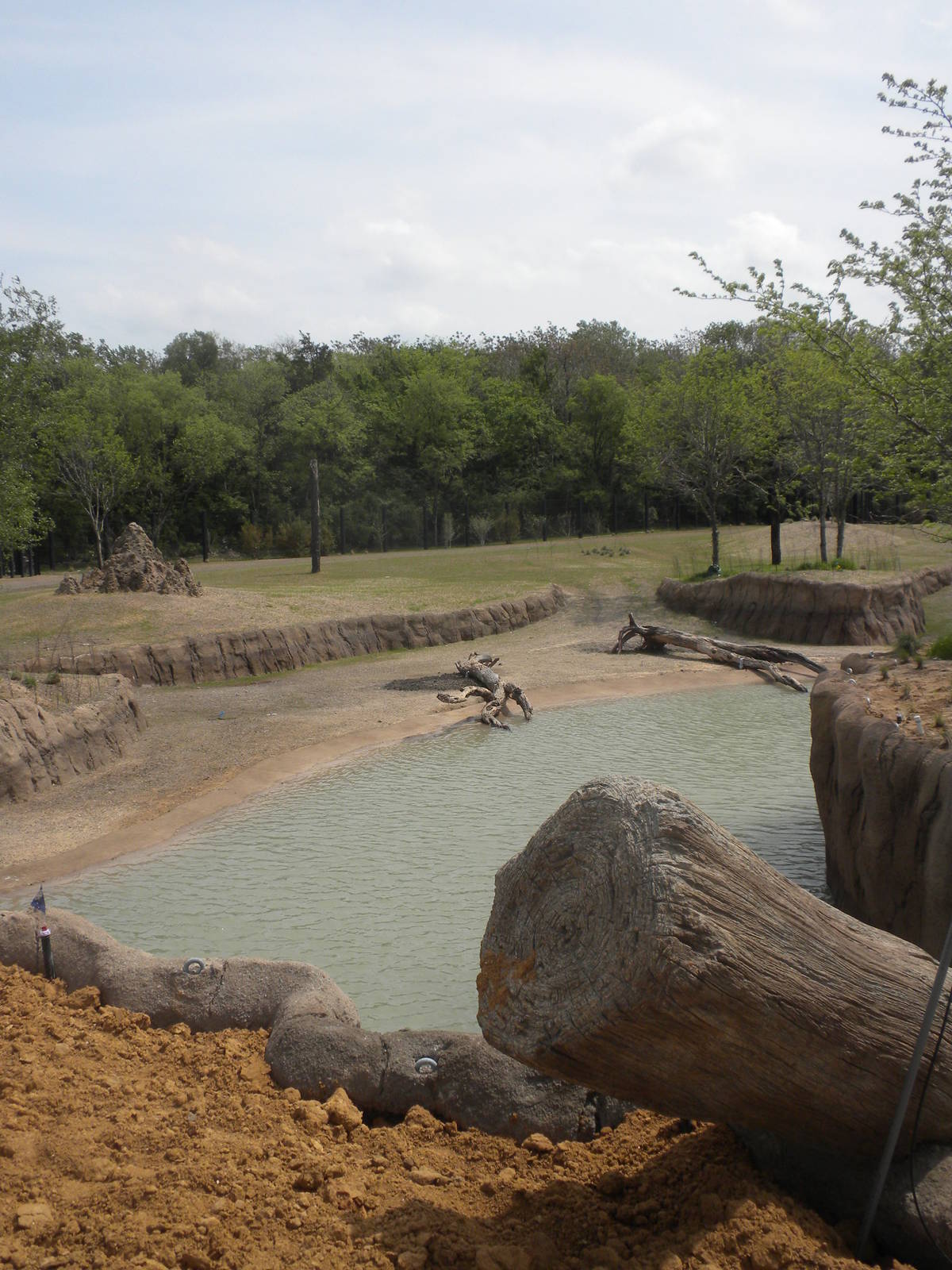 Giants of the Savanna - South Habitat