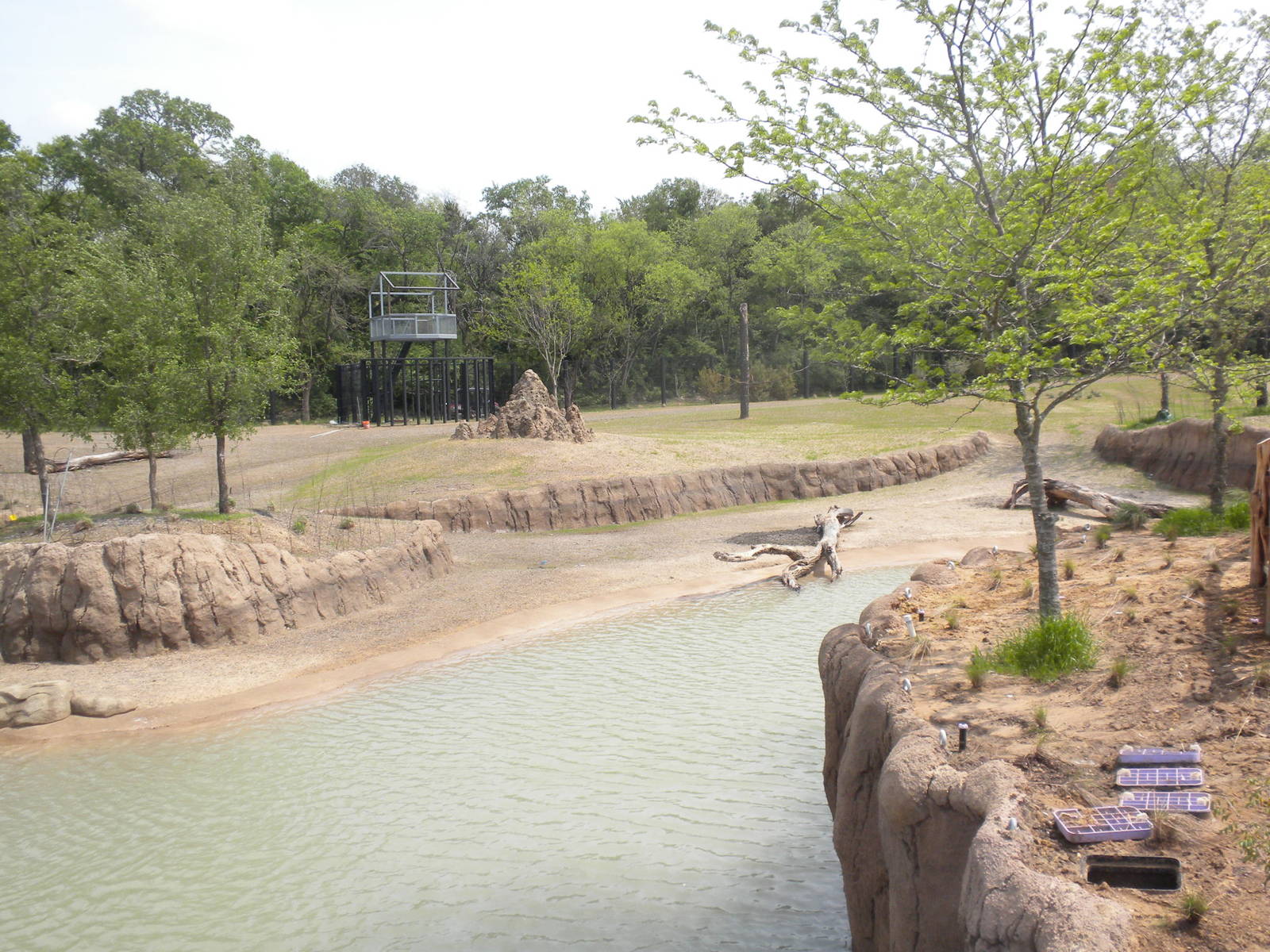 Giants of the Savanna - South habitat