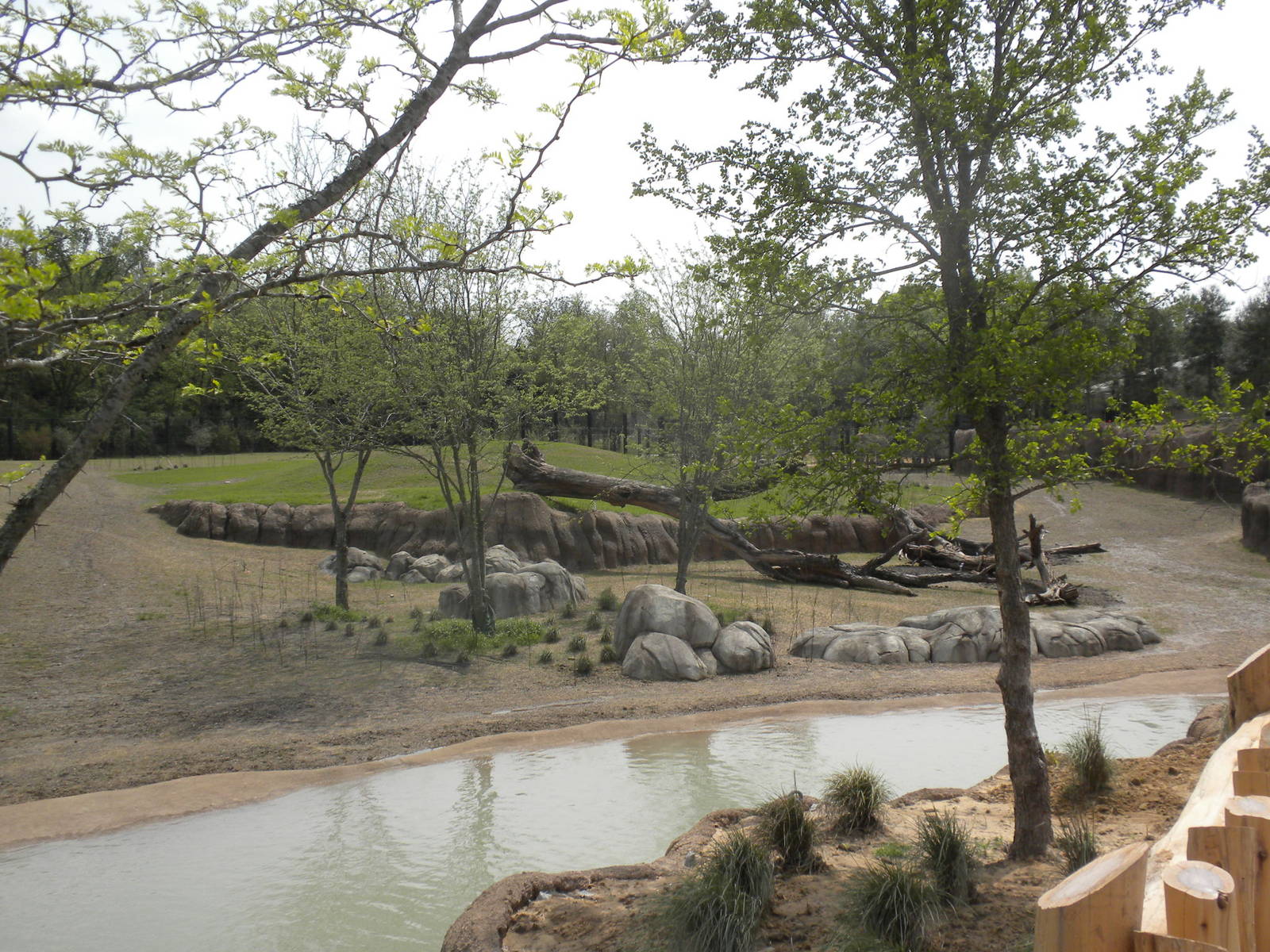 Giants of the Savanna - South Habitat