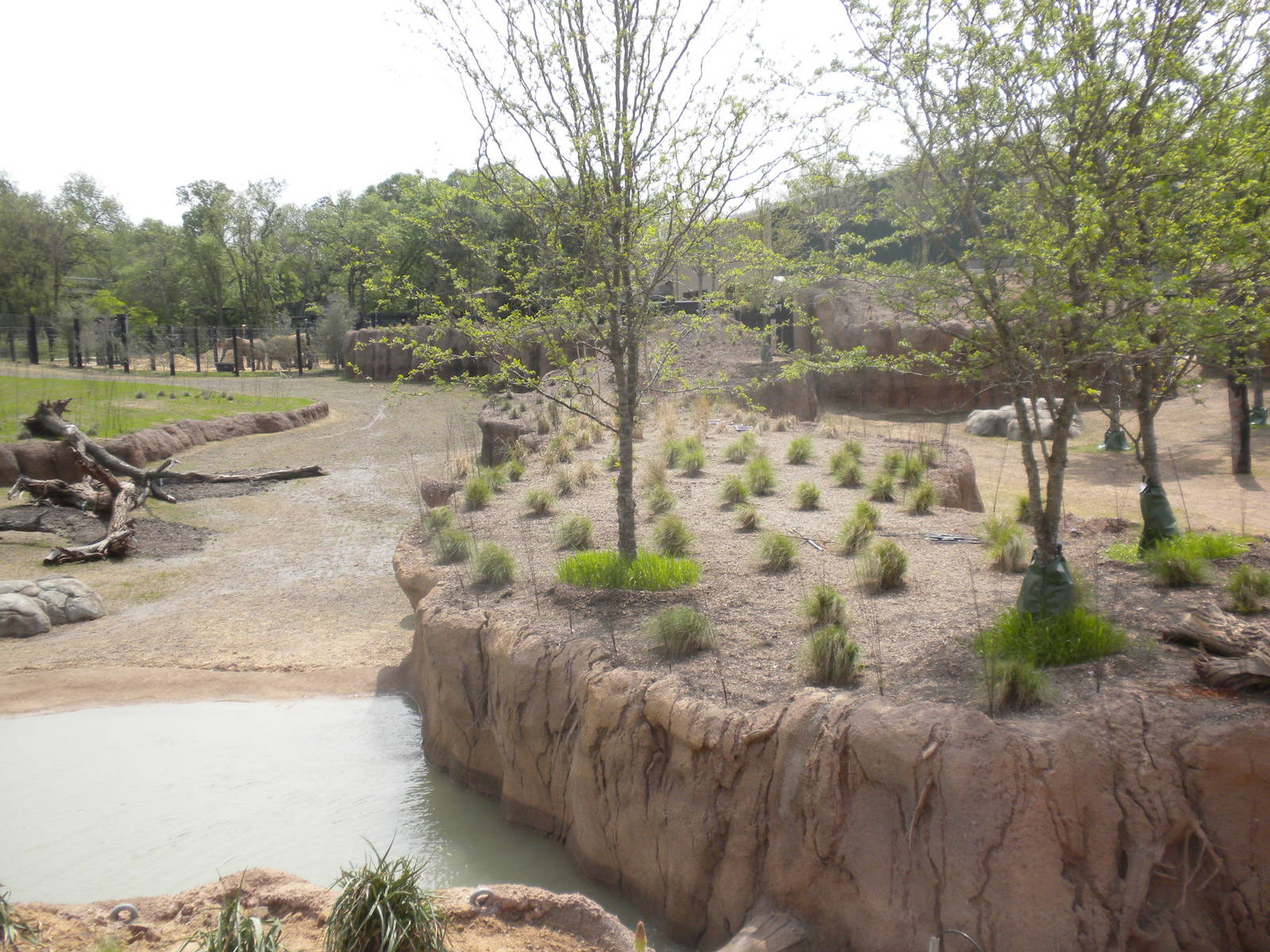 Giants of the Savanna - South Habitat