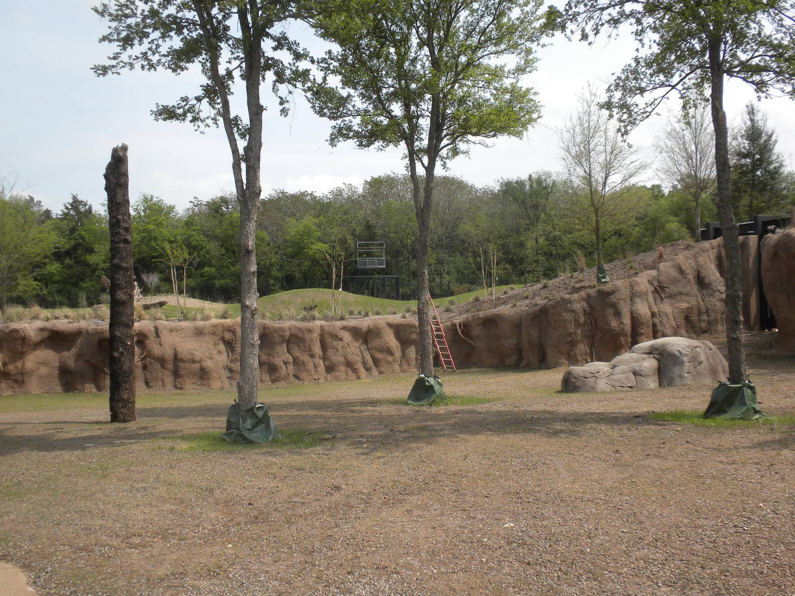 Giants of the Savanna - Tembo Udango (elephant water hole)
