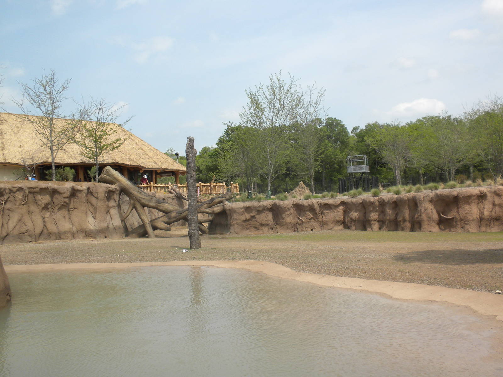 Giants of the Savanna - Tembo Udango (elephant waterhole)