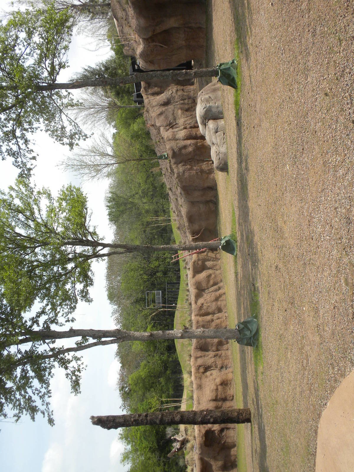 Giants of the Savanna - Tembo Udango (elephant waterhole)