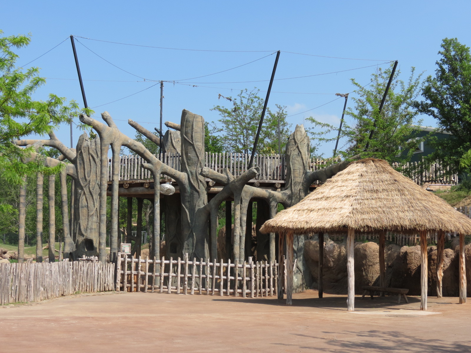 Giants of the Savanna - Tembo Udango (Primary African Elephant Exhibit)