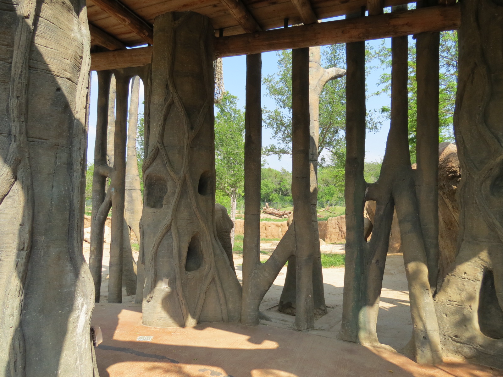 Giants of the Savanna - Tembo Udango (Primary African Elephant Exhibit)
