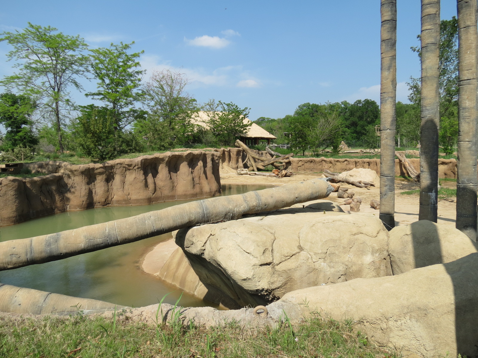 Giants of the Savanna - Tembo Udango (Primary African Elephant Exhibit)