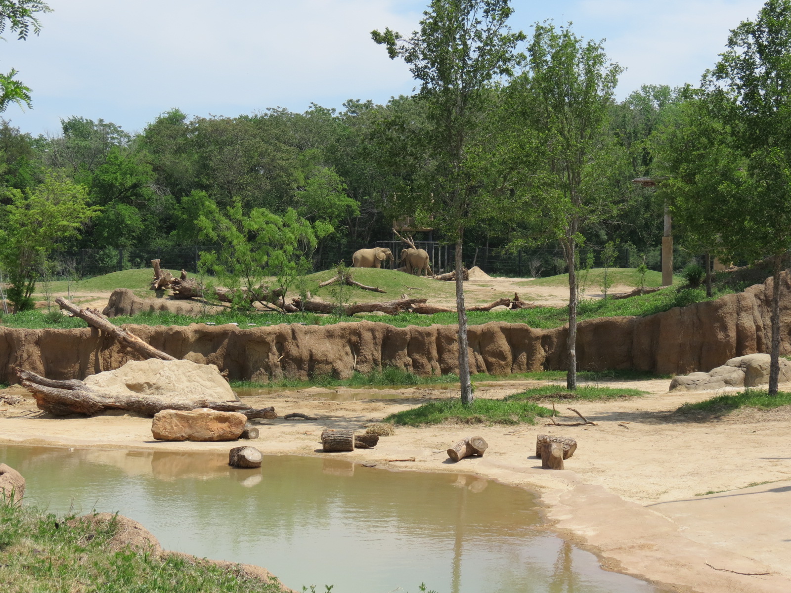 Giants of the Savanna - Tembo Udango (Primary African Elephant Exhibit)