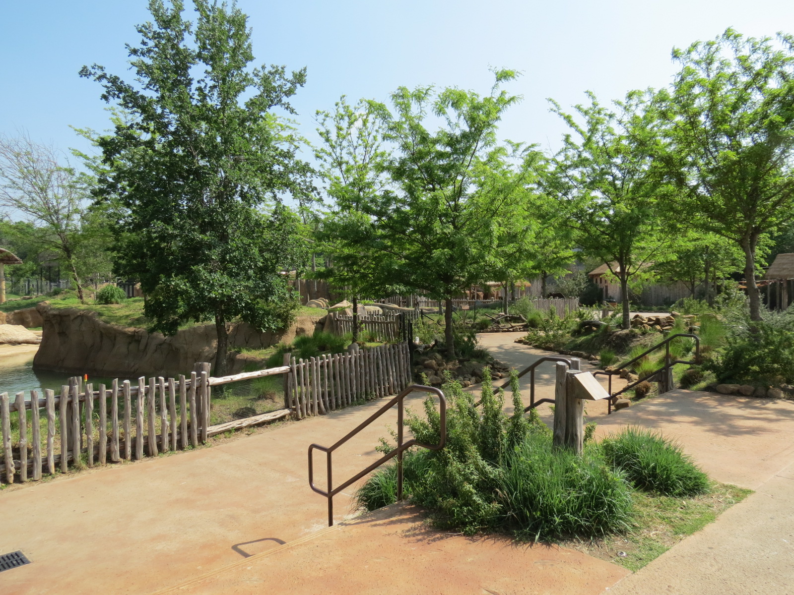 Giants of the Savanna - Tembo Udango (Primary African Elephant Exhibit)