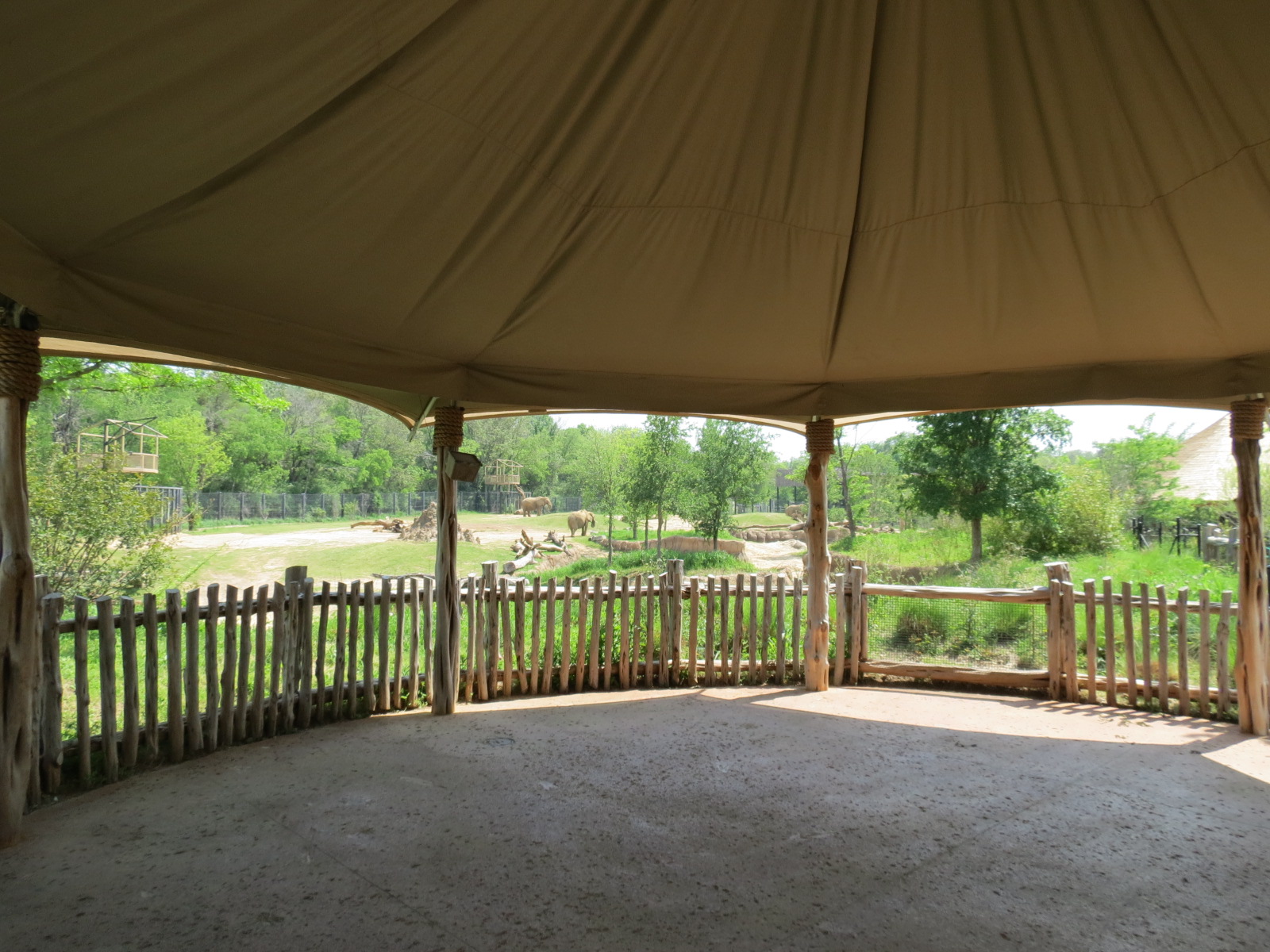 Giants of the Savanna - Viewing Pavilion