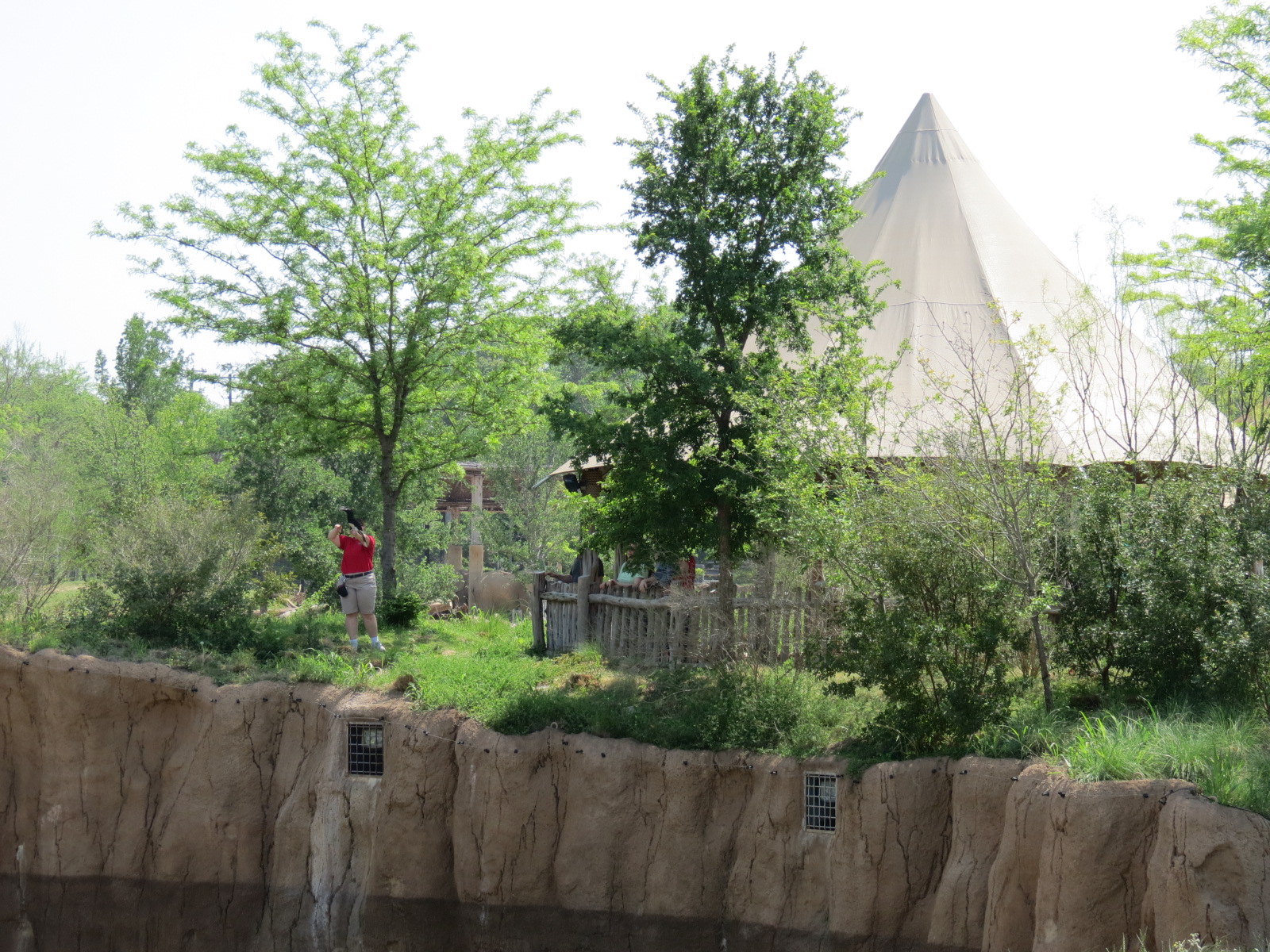 Giants of the Savanna - Viewing Pavilion