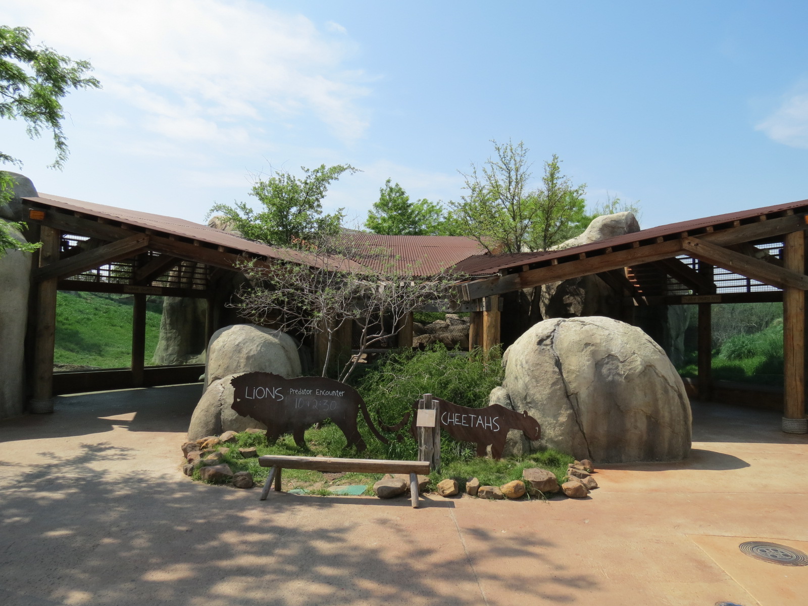 Giants of the Savanna - Viewing Shelter for Lion and Cheetah Exhibits