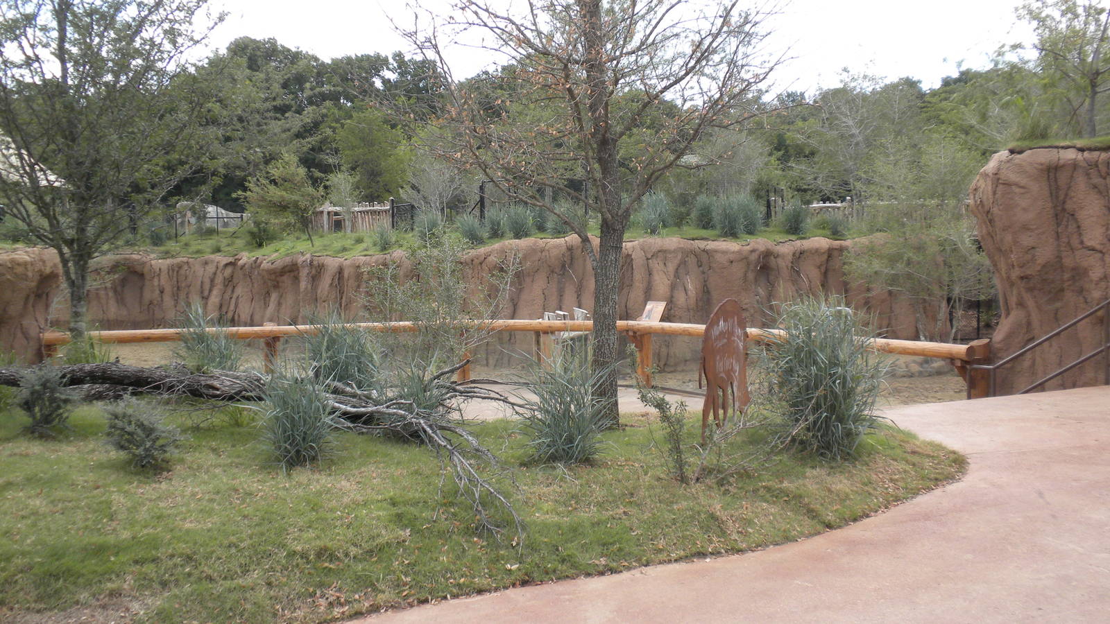 Giants of the Savanna - Warthog and Red River  Hog exhibits