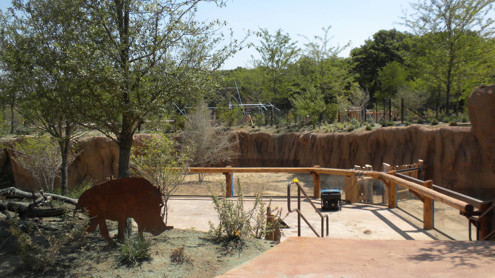 Giants of the Savanna - Warthog and Red River Hog exhibits