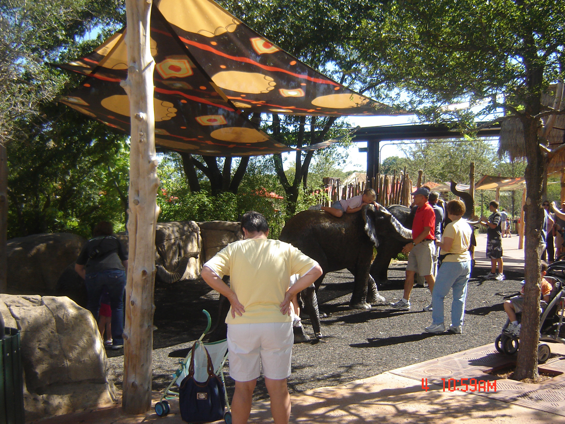 Giants of the Savanna