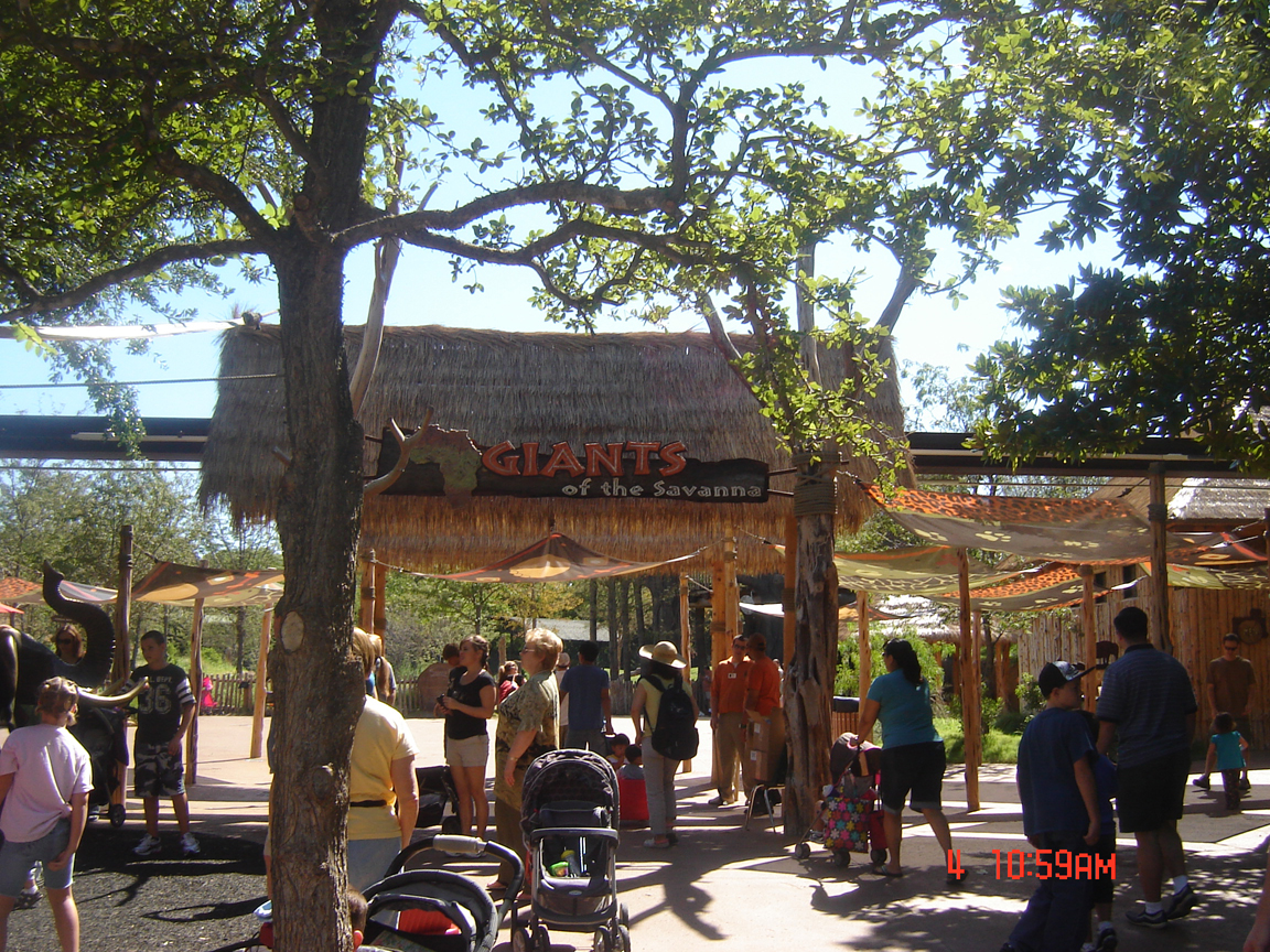 Giants of the Savanna