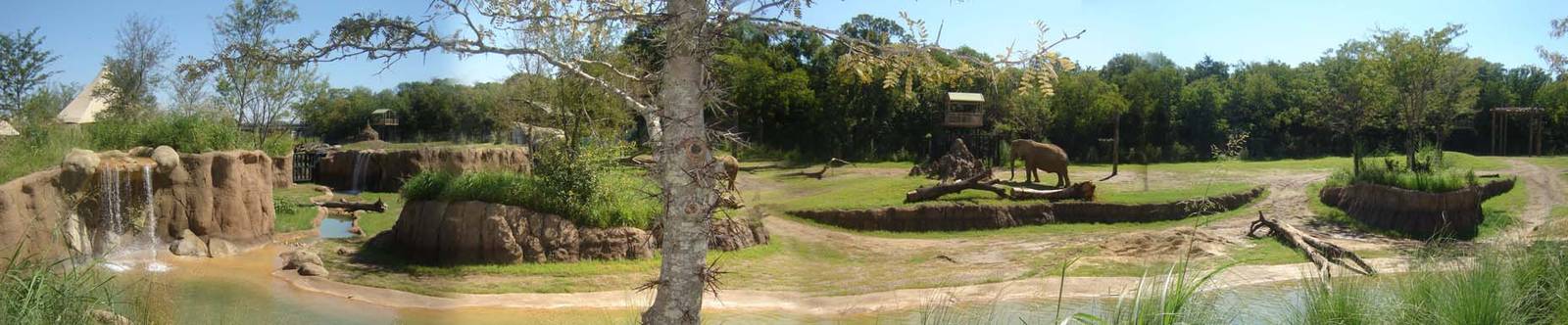 Giants of the Savanna