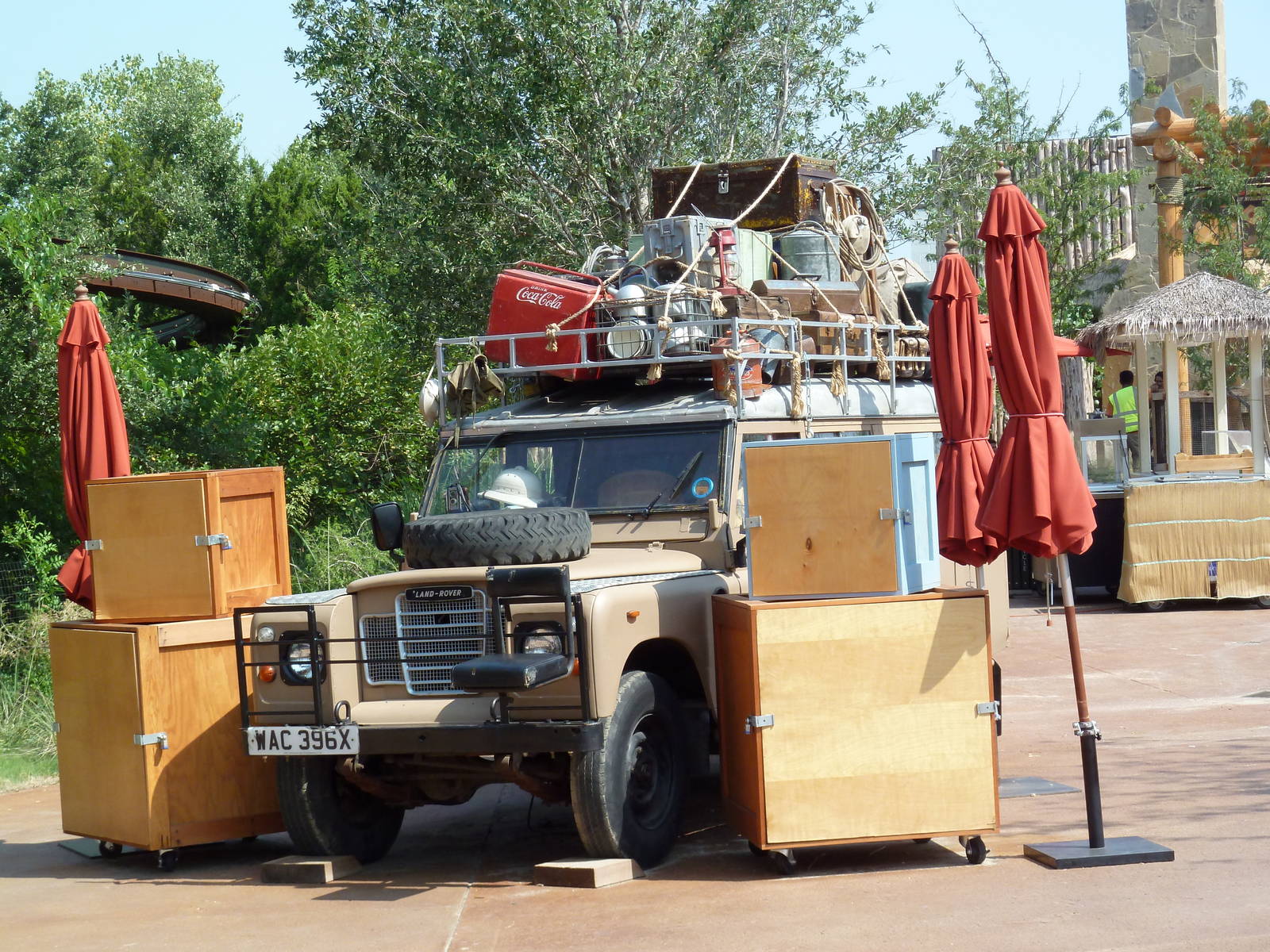 Giants Of The Savanna