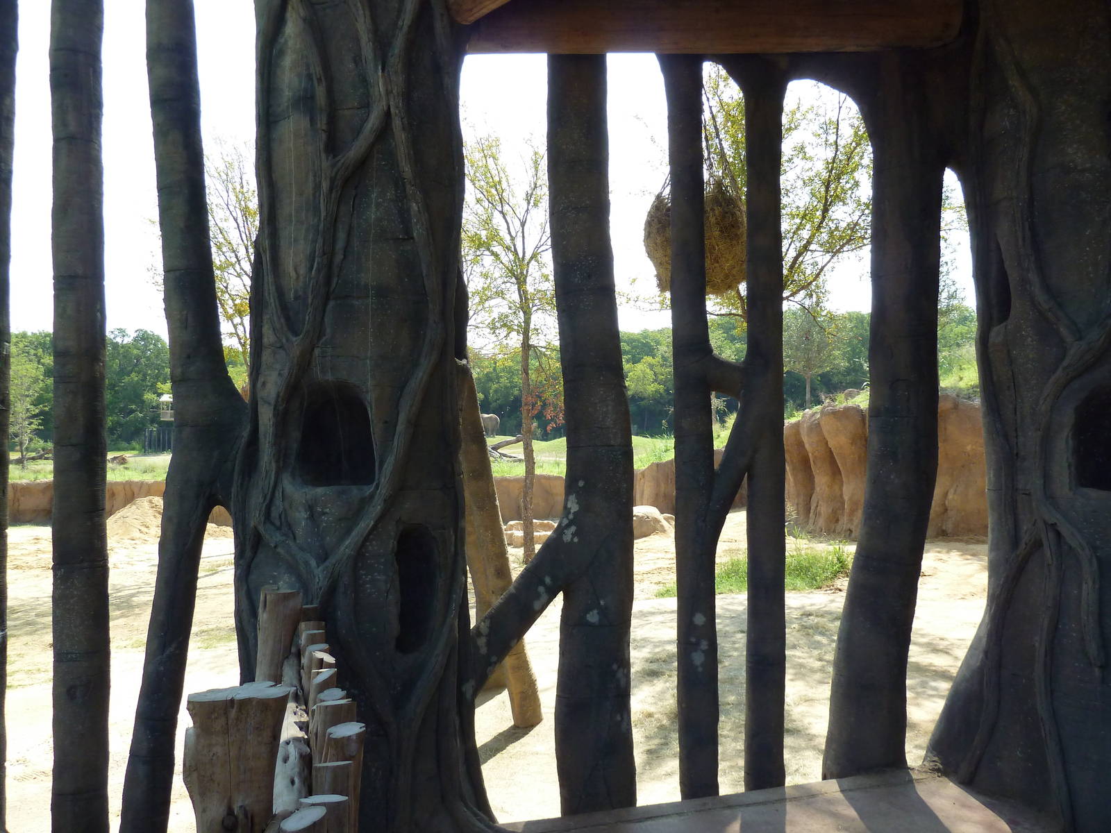 Giants Of The Savanna