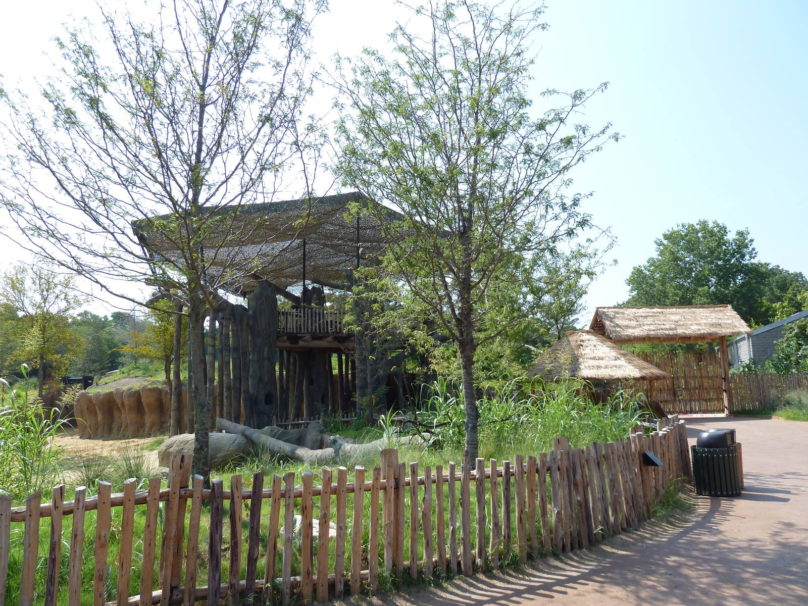 Giants Of The Savanna