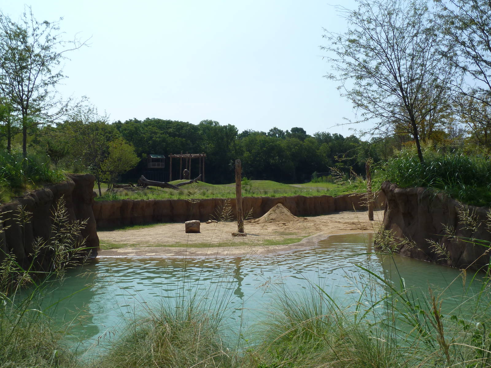 Giants Of The Savanna