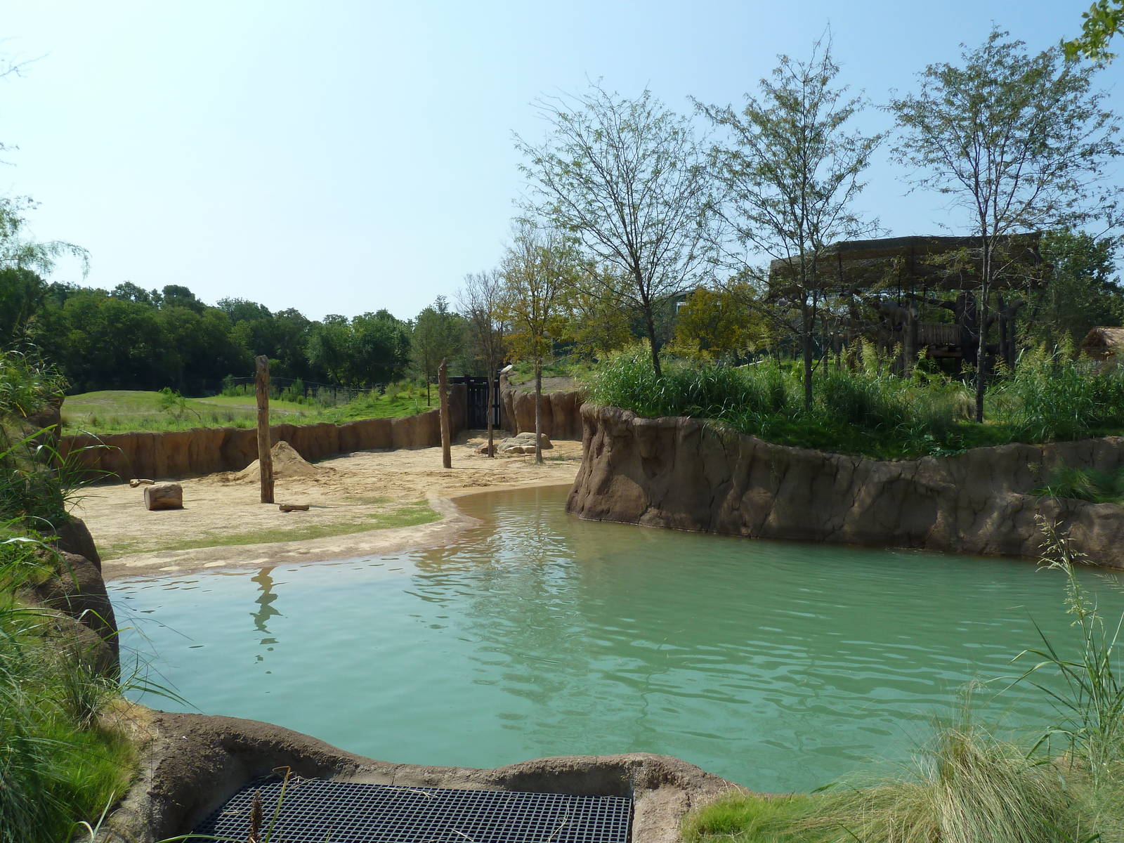 Giants Of The Savanna