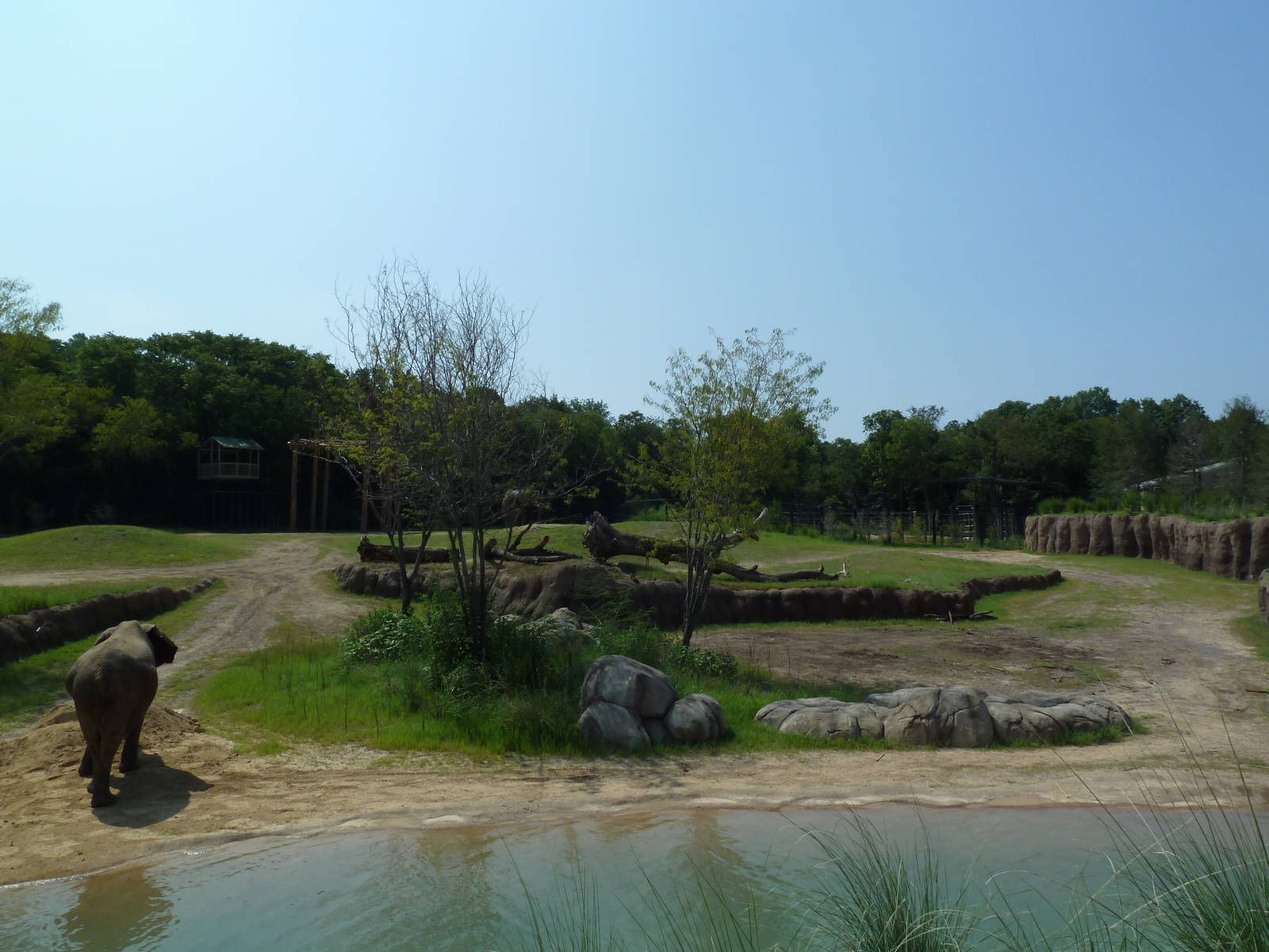 Giants Of The Savanna