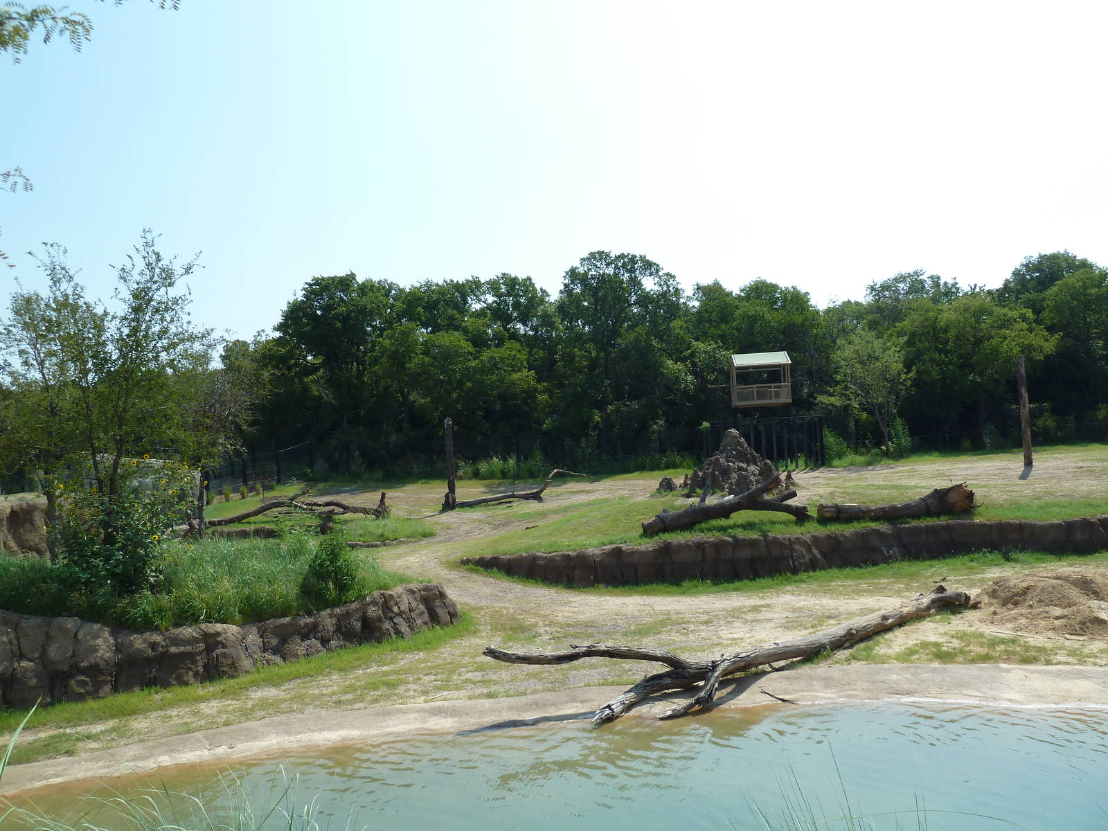 Giants Of The Savanna