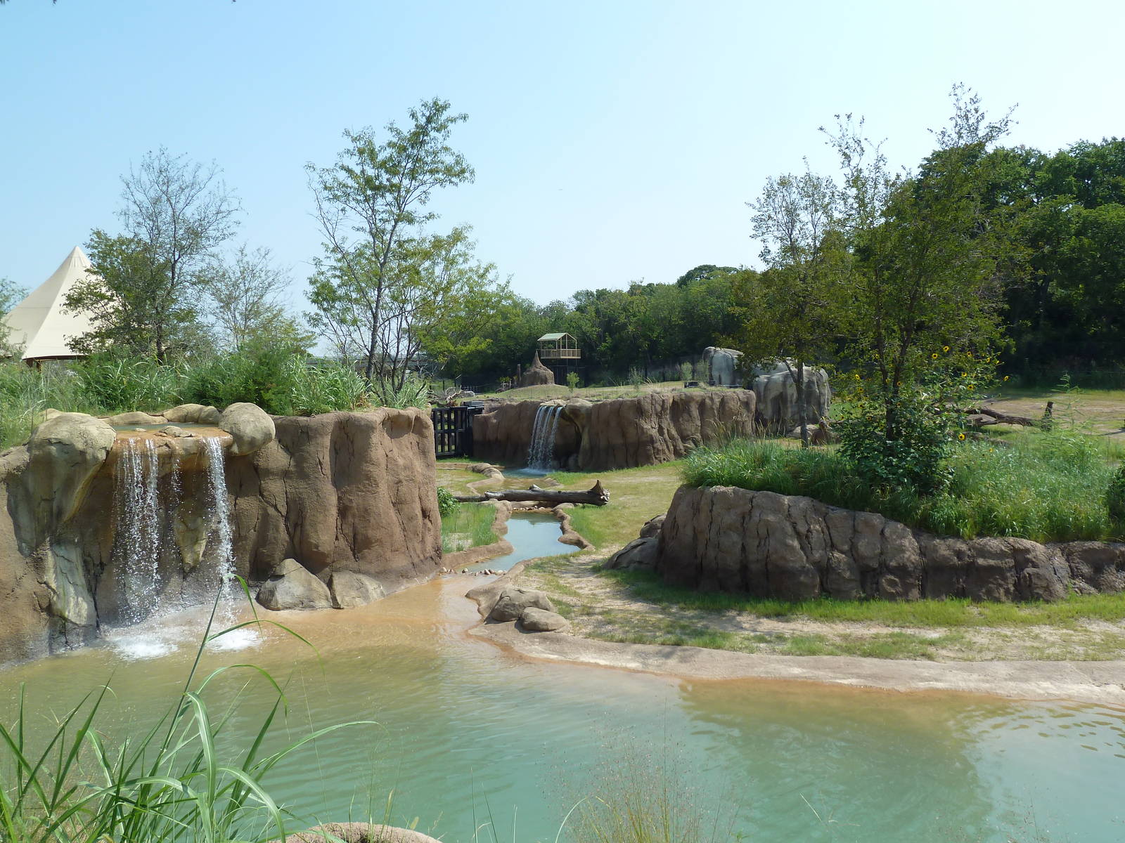 Giants Of The Savanna